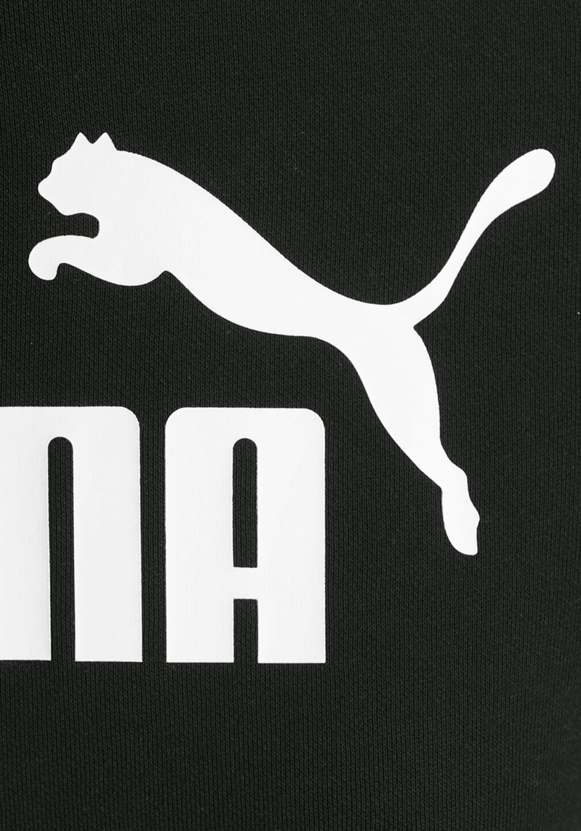 PUMA Kapuzensweatshirt »ESS LOGO HOODIE FL«