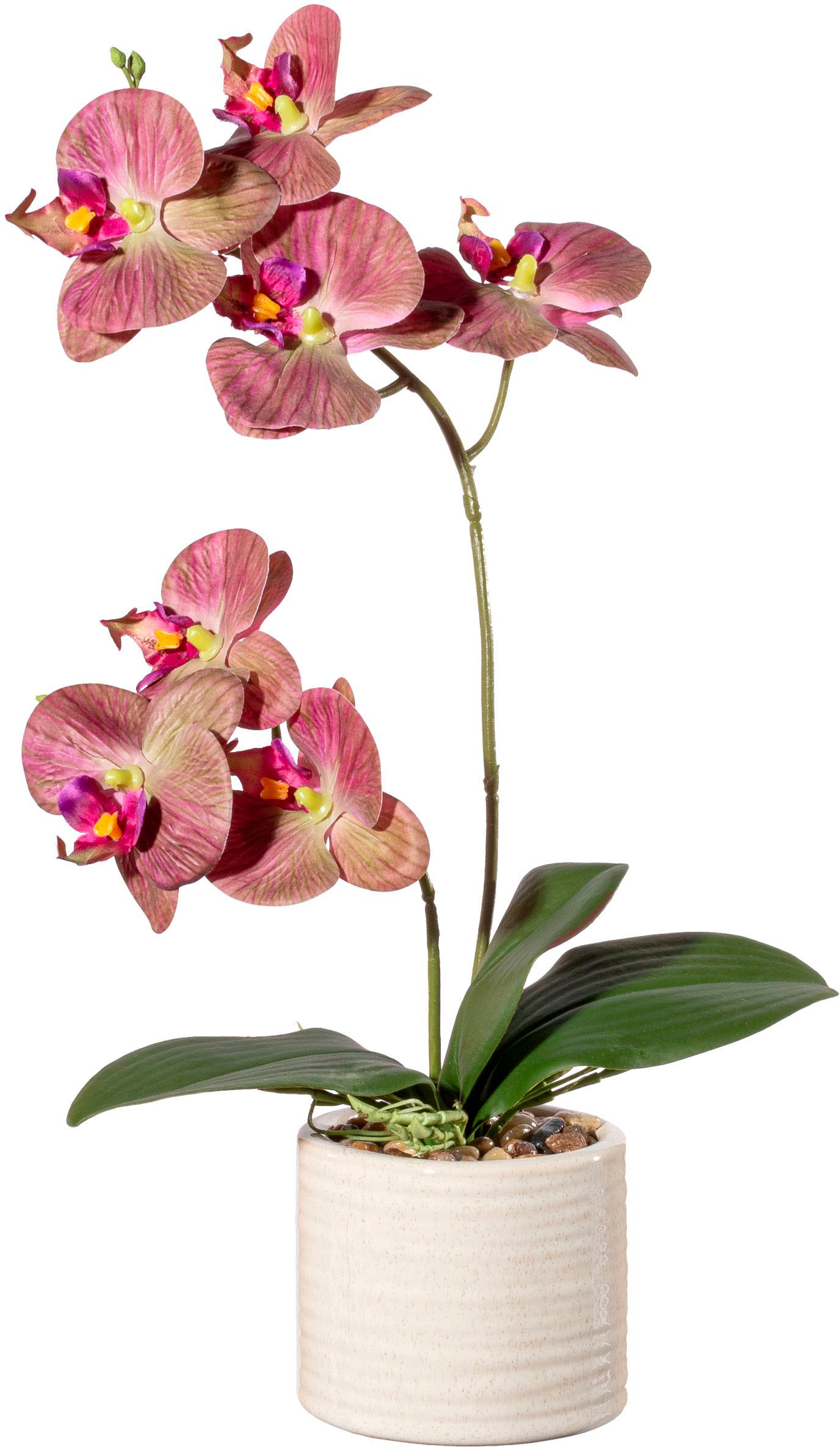 Creativ green Kunstorchidee »Orchidee Phalaenopsis in Keramiktopf«, mit Real-Touch-Blüten