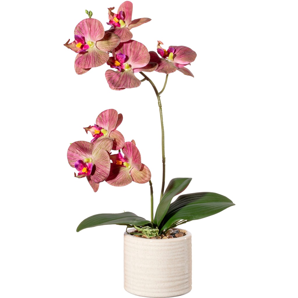 Creativ green Kunstorchidee »Orchidee Phalaenopsis in Keramiktopf«