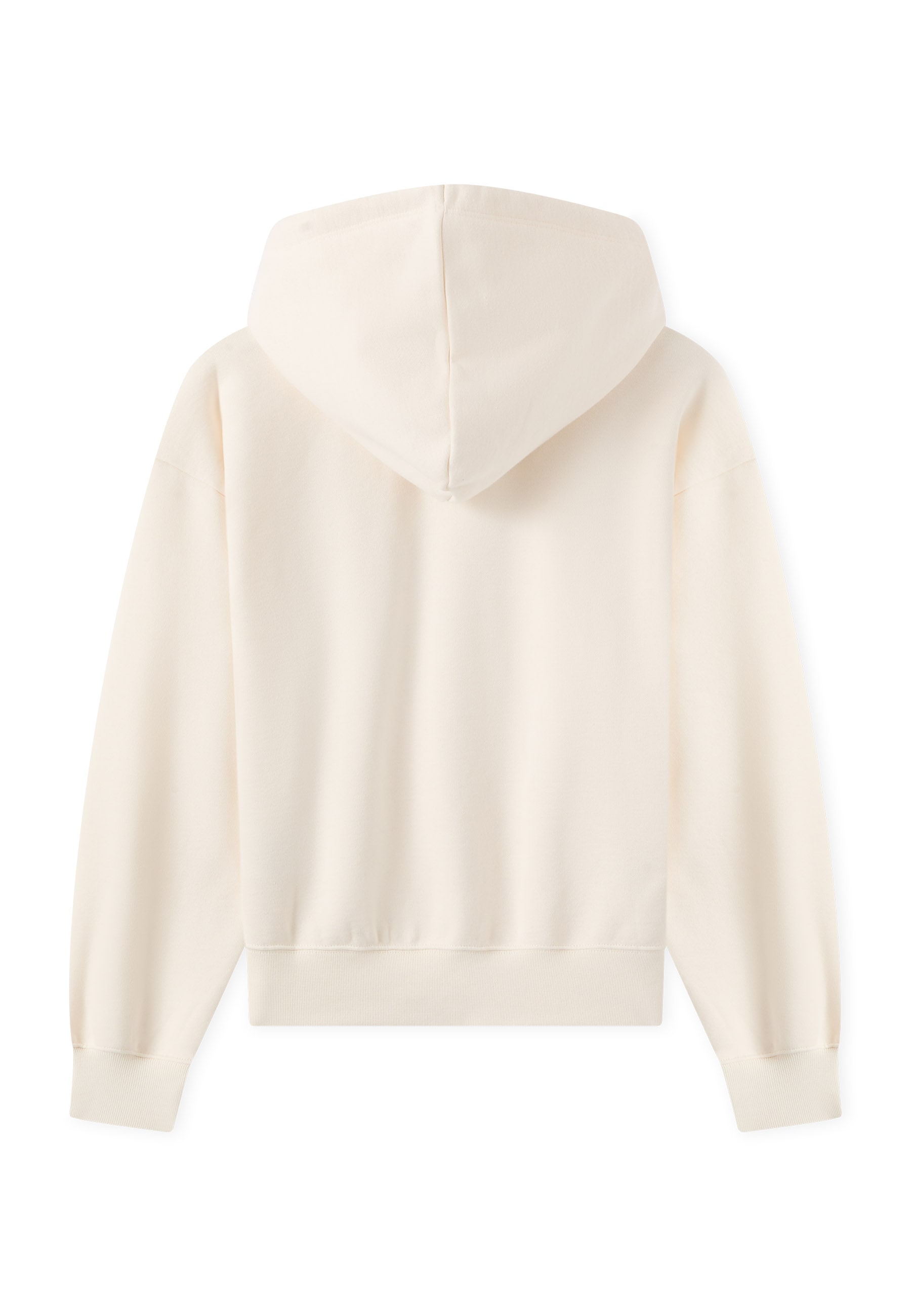 Champion Kapuzensweatshirt »Champion Academy«, mit Kapuze, Langarm, aus angerauter Sweatware, in normaler Länge
