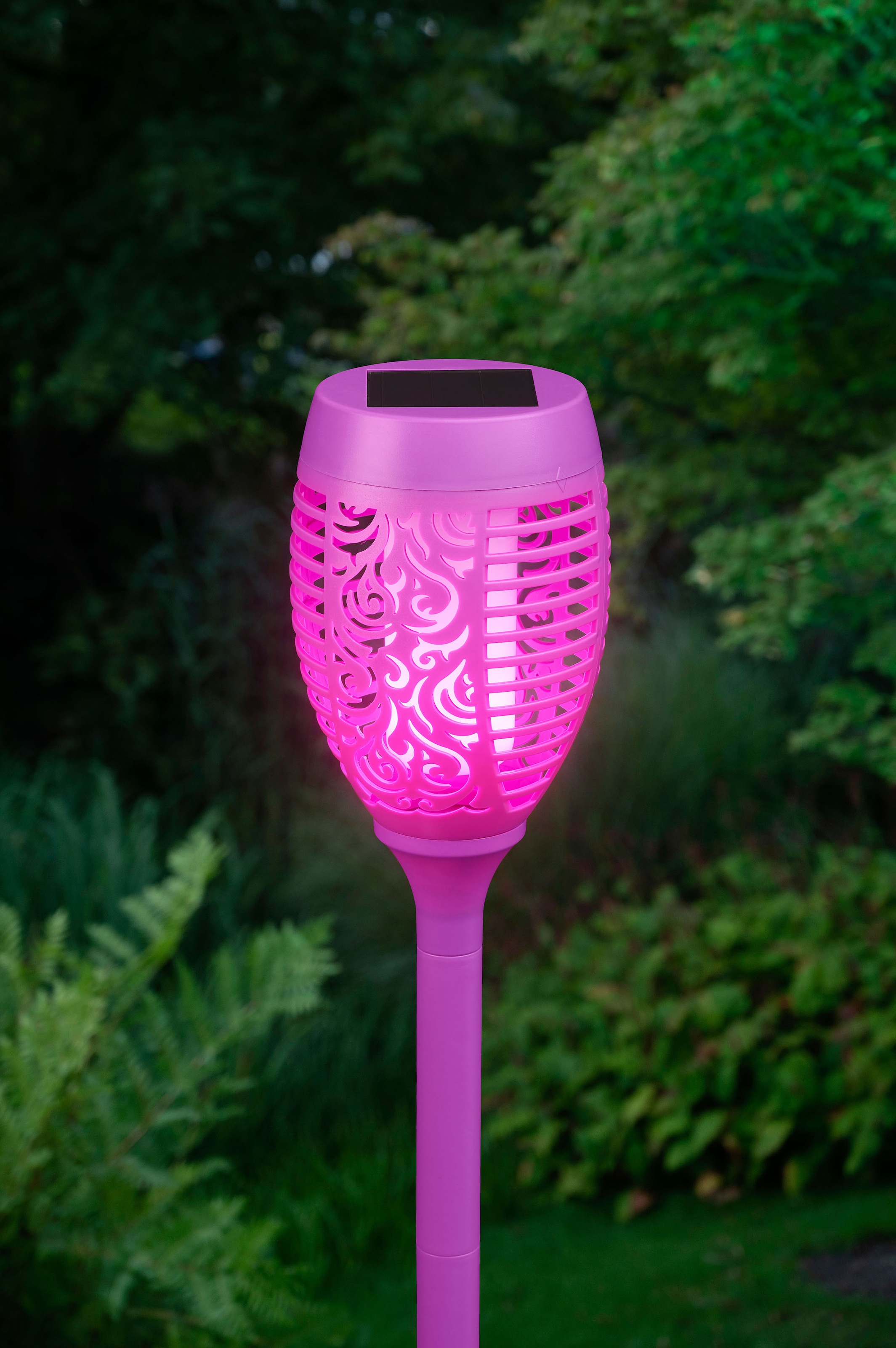 mit online LED 3 lila realer kaufen XXL Flamme Gartenfackel, Jahren | Gartenfackel BONETTI Solar LED mit Garantie
