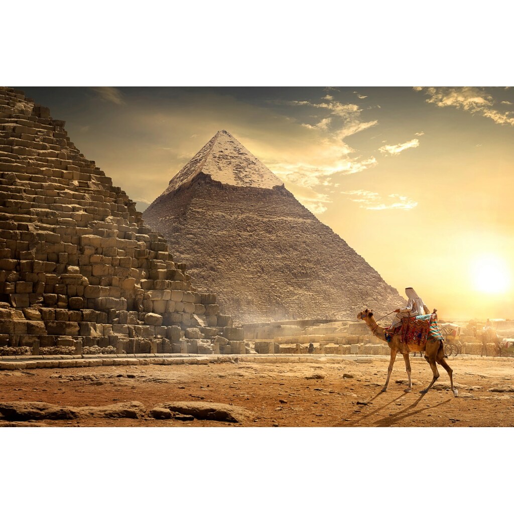 Papermoon Fototapete »Kamel vor Pyramiden«