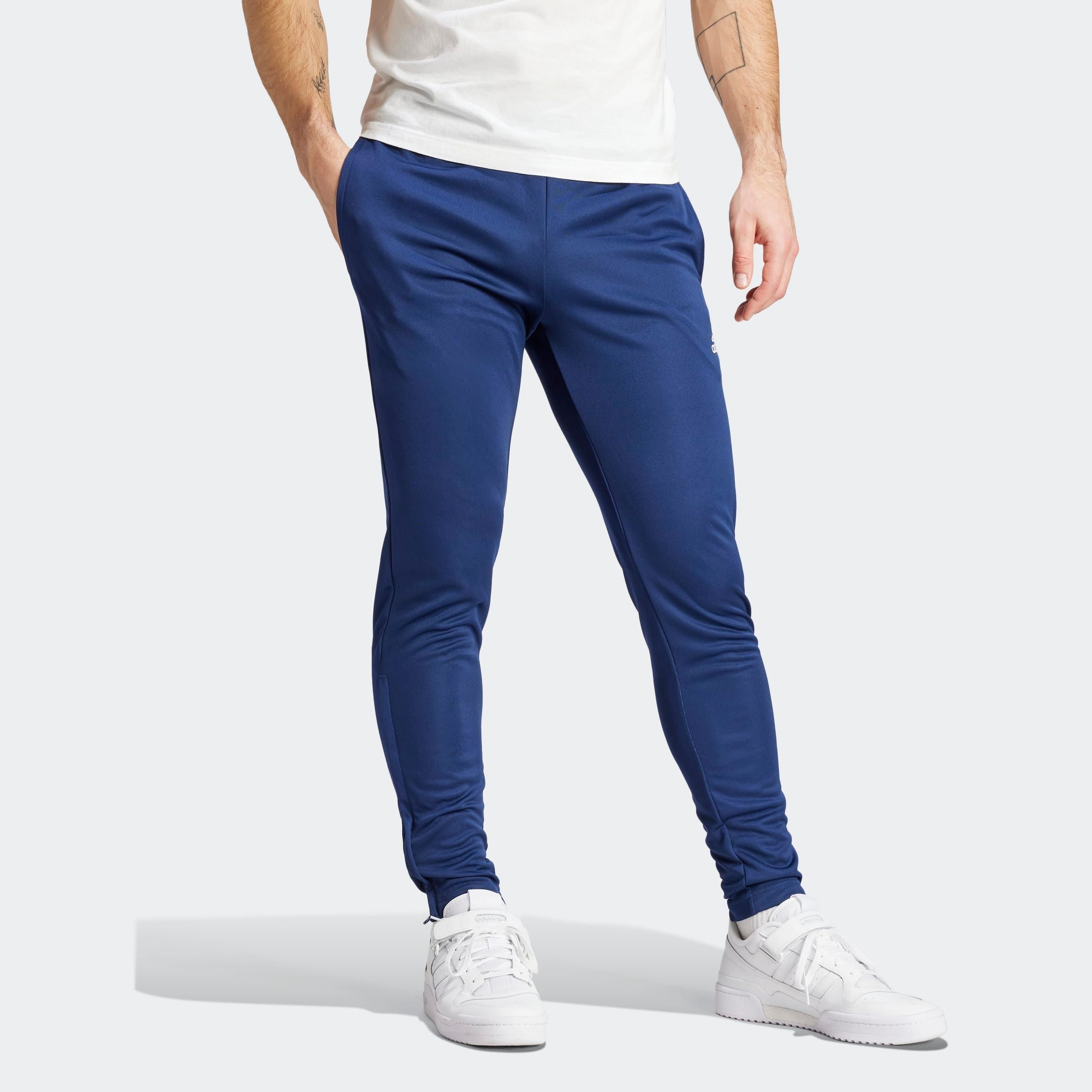 adidas Performance Trainingshose »ENT22 TR PNT«, (1 tlg.)