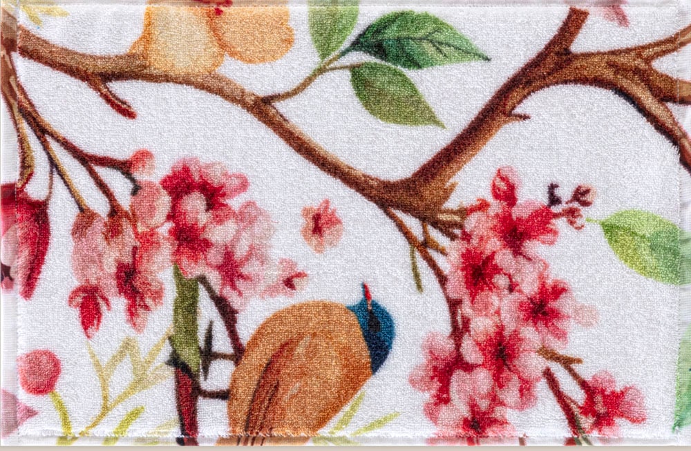 Egeria Gästehandtuch »Birdy« 30x50 cm