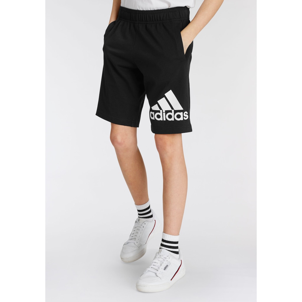 adidas Sportswear Shorts »ESSENTIALS BIG LOGO COTTON« CB8410