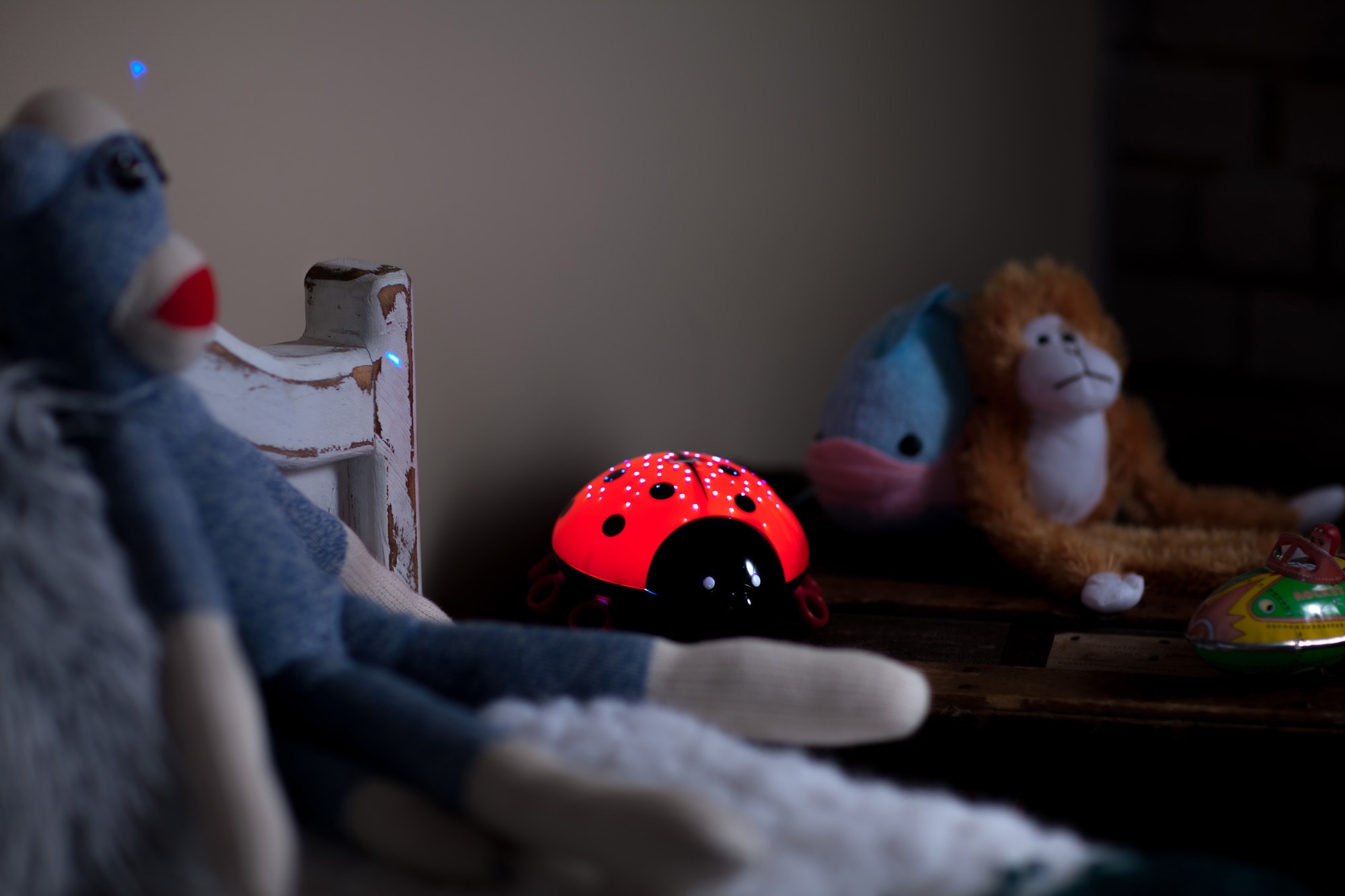 niermann LED Nachtlicht »Beetlestar«, 1 flammig-flammig, Nachtlicht  Beetlestar online kaufen | mit 3 Jahren XXL Garantie