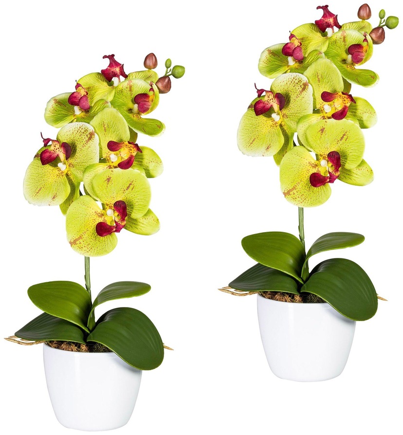 Creativ green Kunstorchidee »Phalaenopsis«, im auf bestellen Raten Keramiktopf