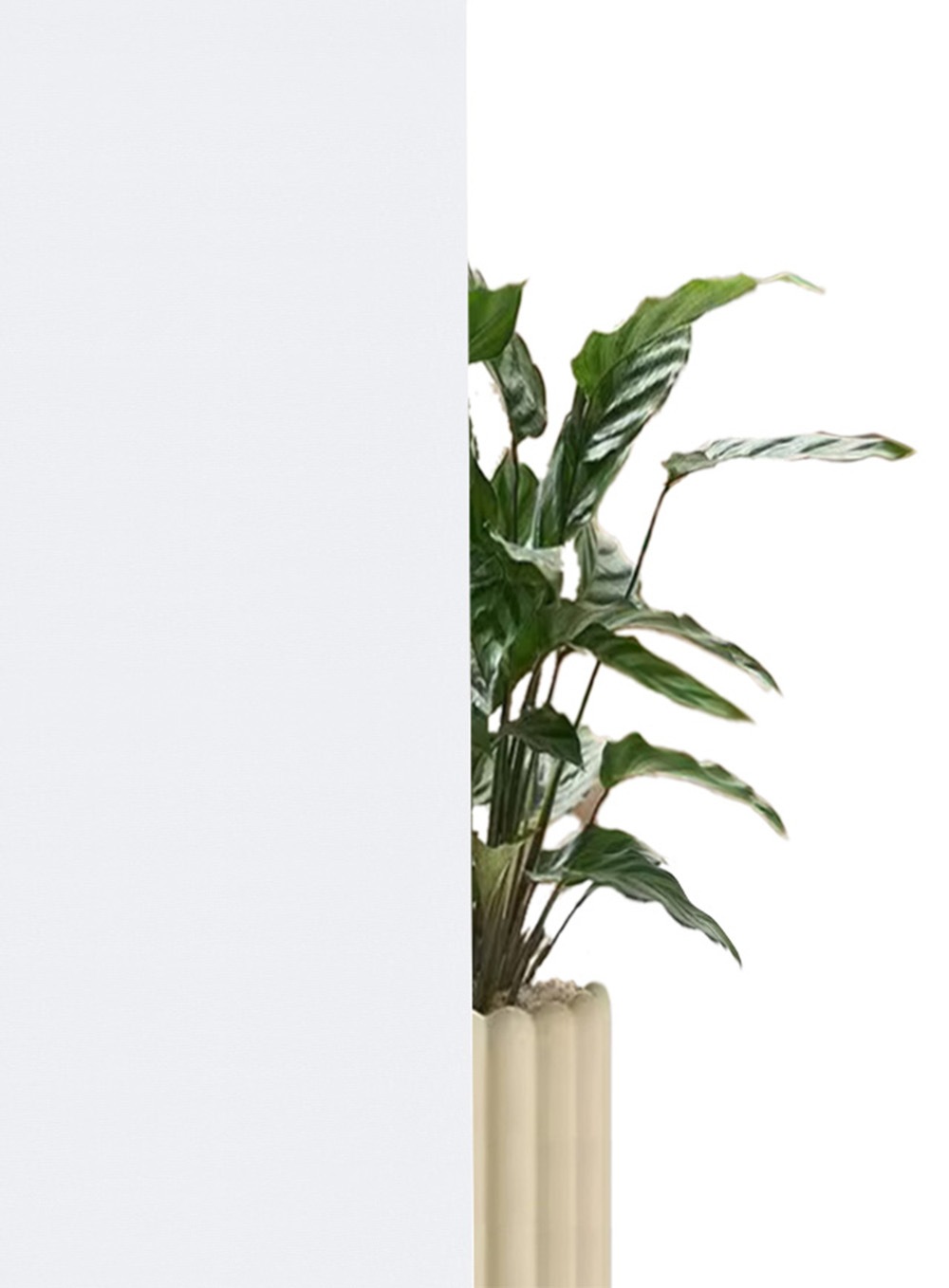 my home Seitenzugrollo »THEMSE«, abdunkelnd, energiesparend-Verdunkelung-Sichtschutz, ohne Bohren, freihängend, Klemmträger