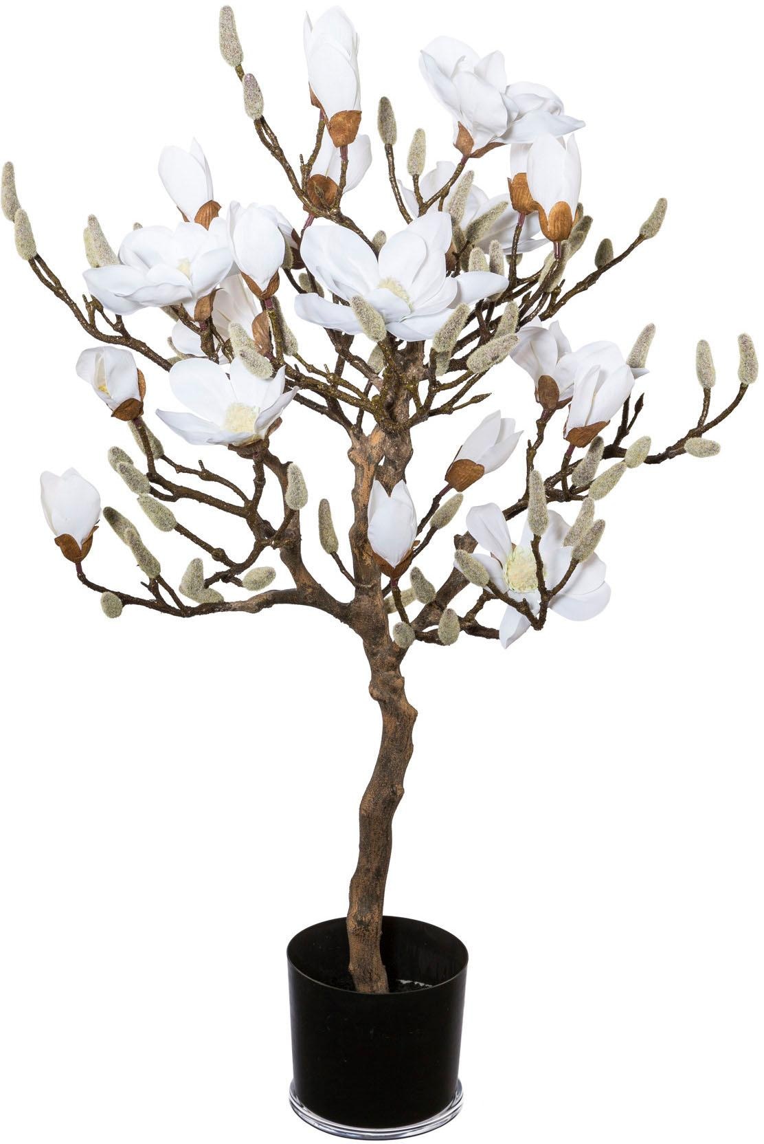 3 mit online Creativ | »Magnolienbaum« Kunstpflanze green Garantie Jahren kaufen XXL