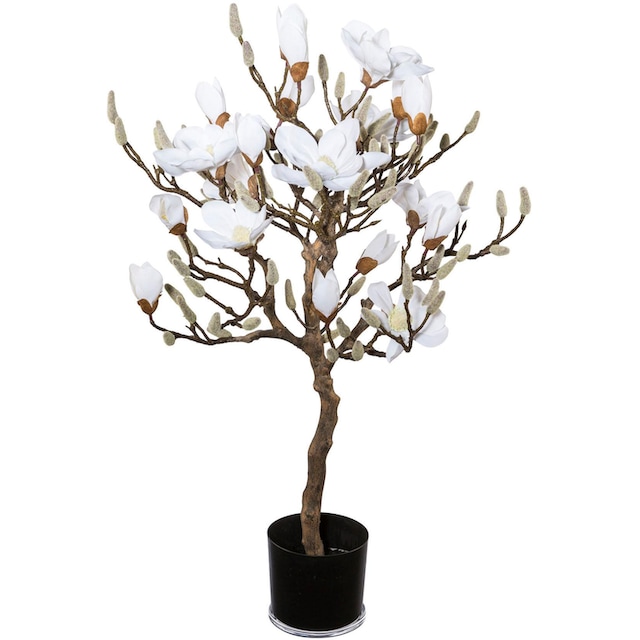 Creativ green Kunstpflanze »Magnolienbaum« online kaufen | mit 3 Jahren XXL  Garantie