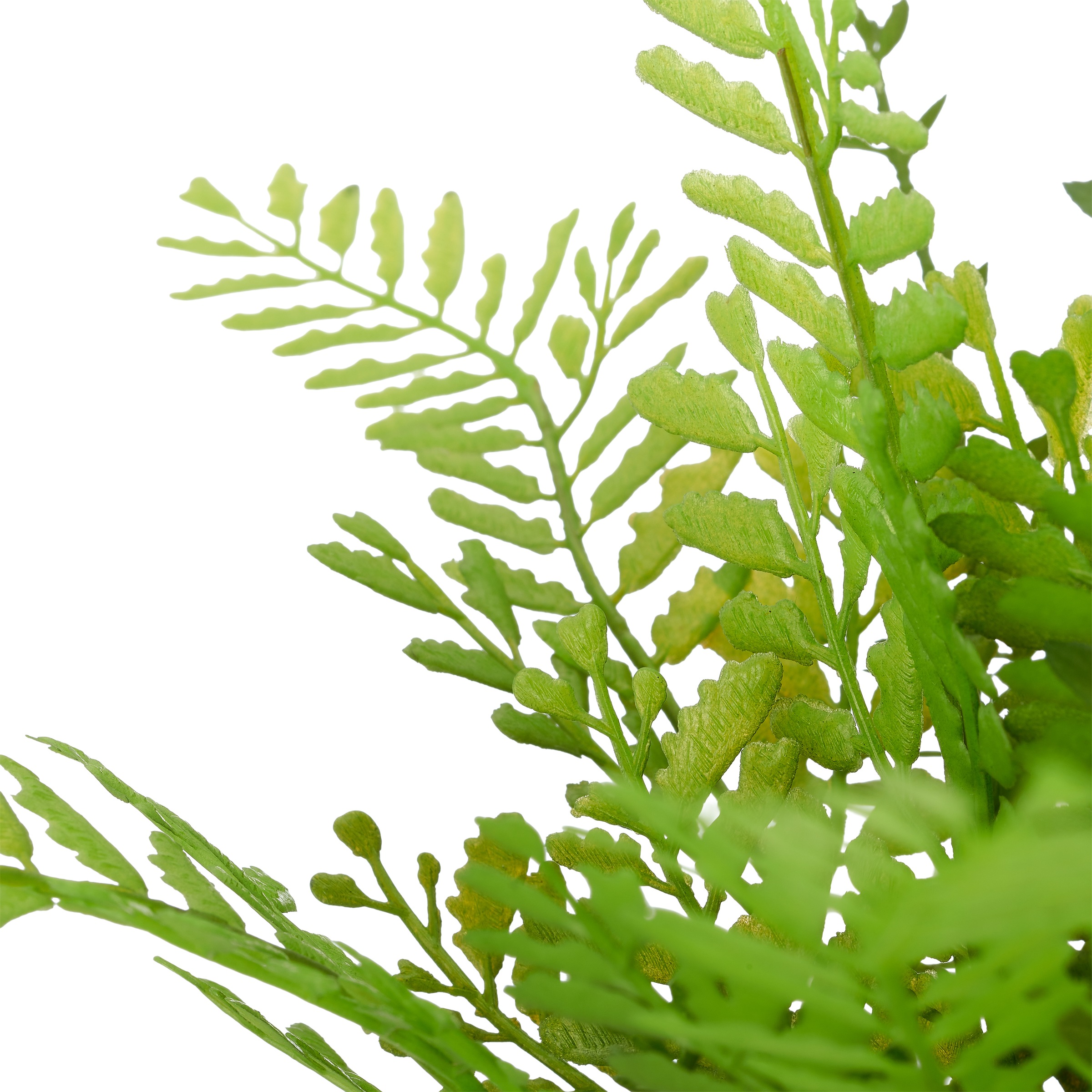 Creativ green Kunstpflanze »Grünpflanzen-Mix« mit 3 verschiedenen Pflanzen