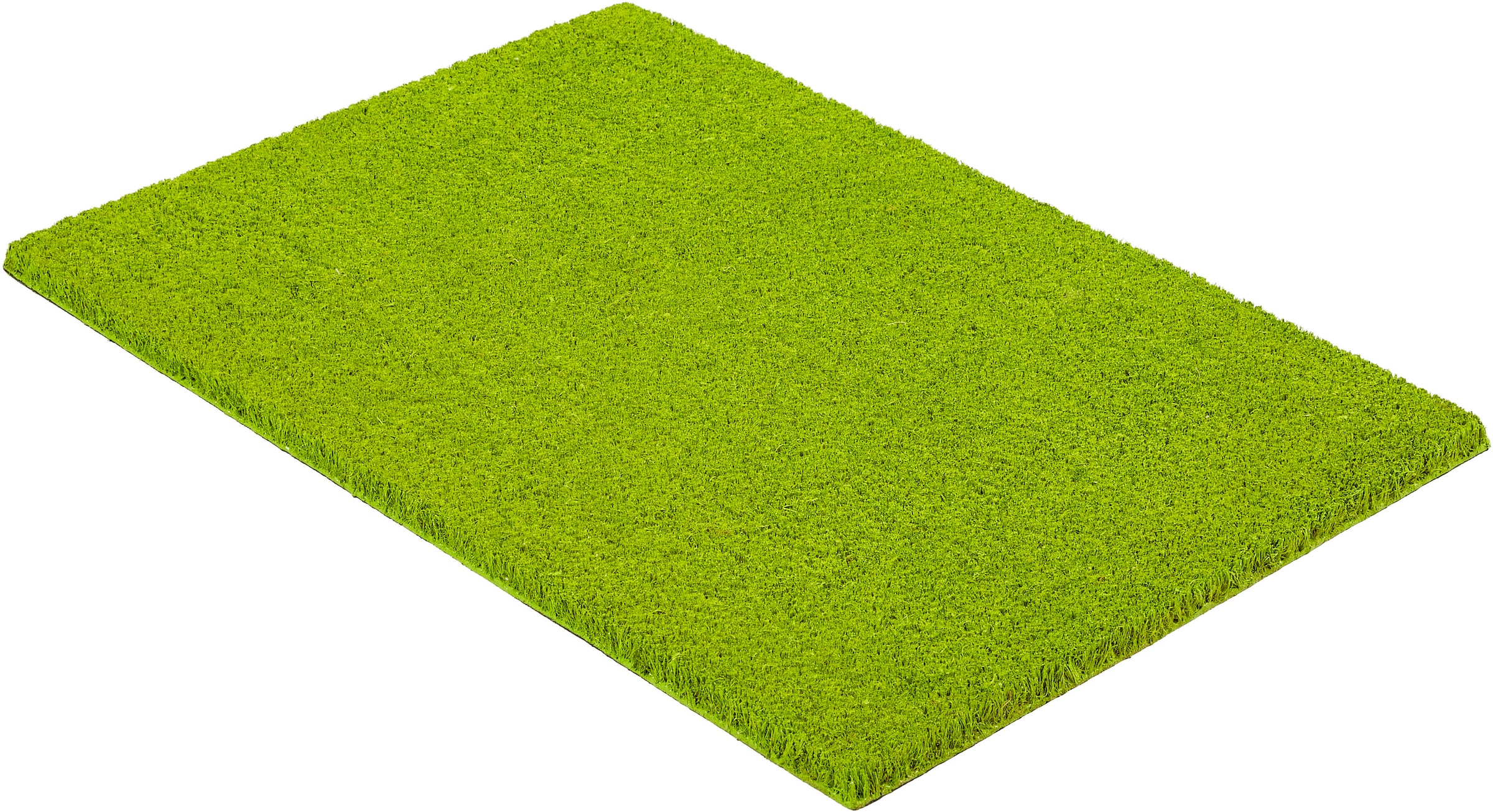 ASTRA Fußmatte »Coco Color Trend« rechteckig 15 mm Höhe Kokos Türmatte, Aussenbereich, moderne Farben