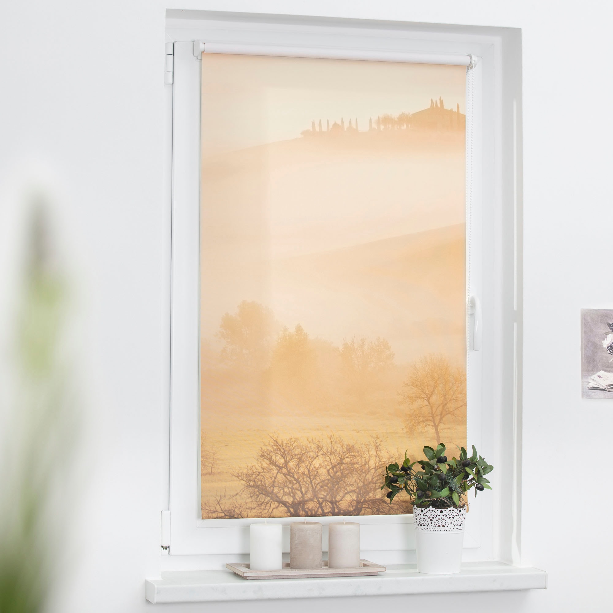 LICHTBLICK ORIGINAL Seitenzugrollo »Rollo Klemmfix, ohne Bohren, Verdunkelung, Toskana - Orange Braun« verdunkelnd Verdunkelung | energiesparend freihängend