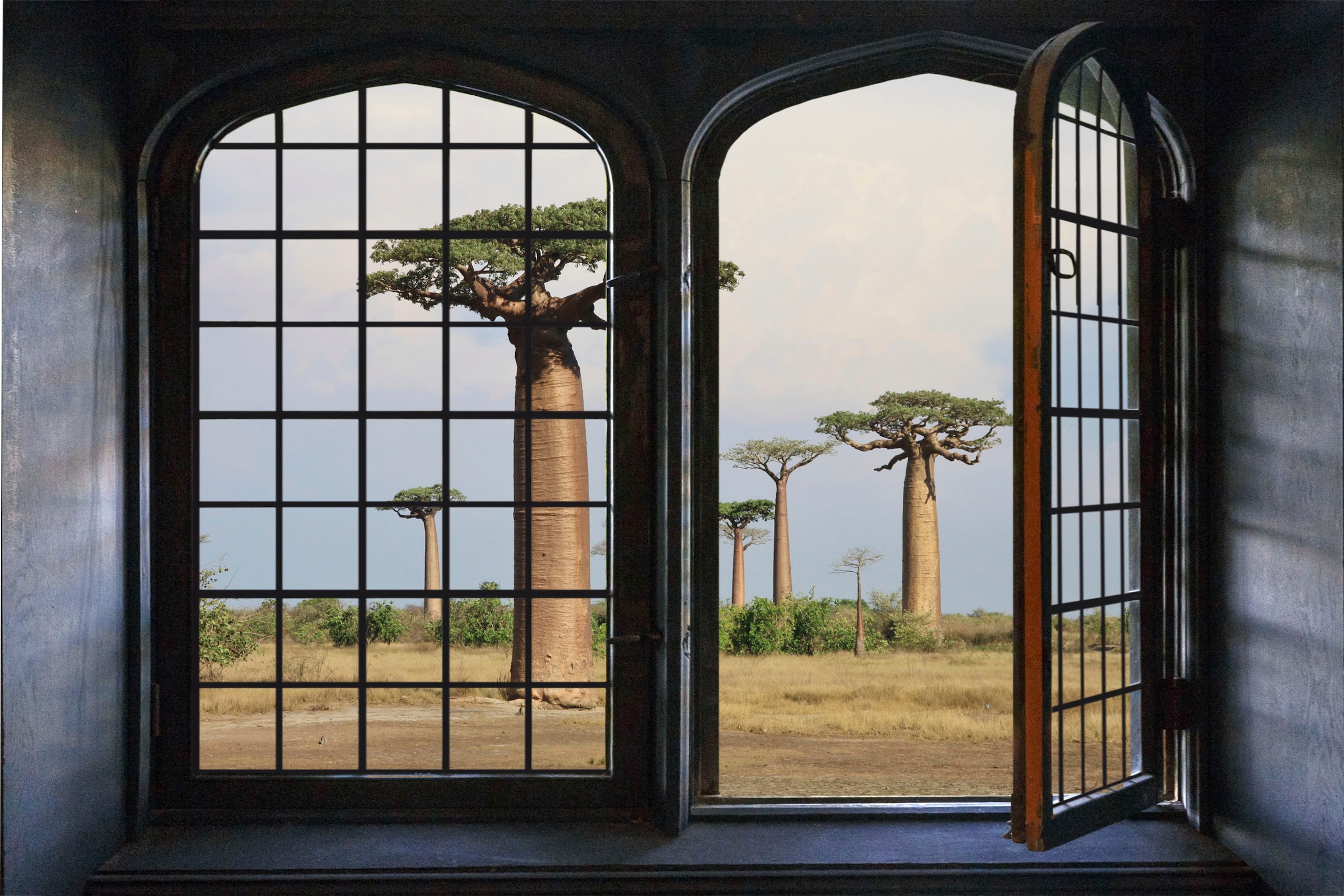 queence Wandsticker »Bäume« Wandsticker, Wandbild, selbstklebend, 3D, Fenster