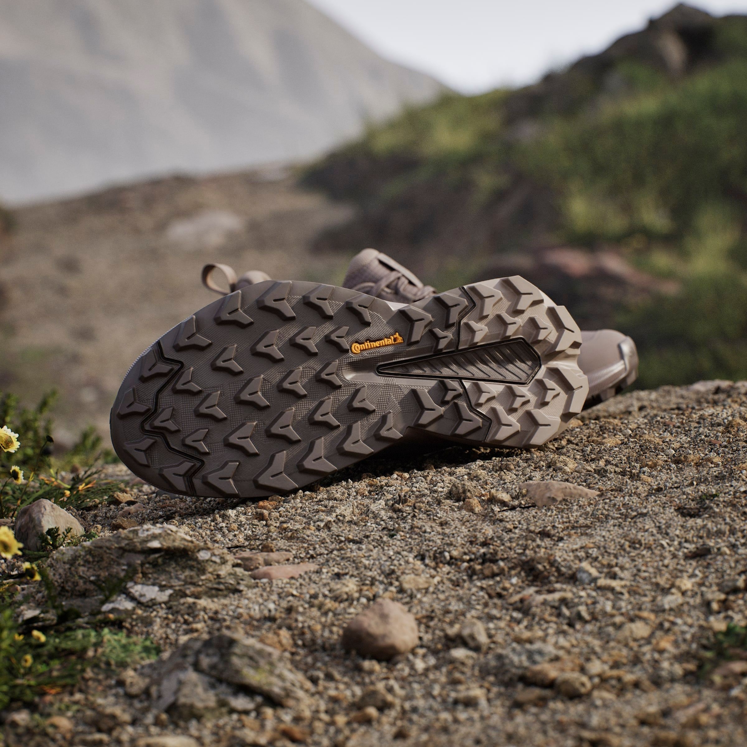 adidas TERREX Wanderschuh »TRAILMAKER 2.0 GORE-TEX«  wasserdicht dank Gore-Tex Membrane