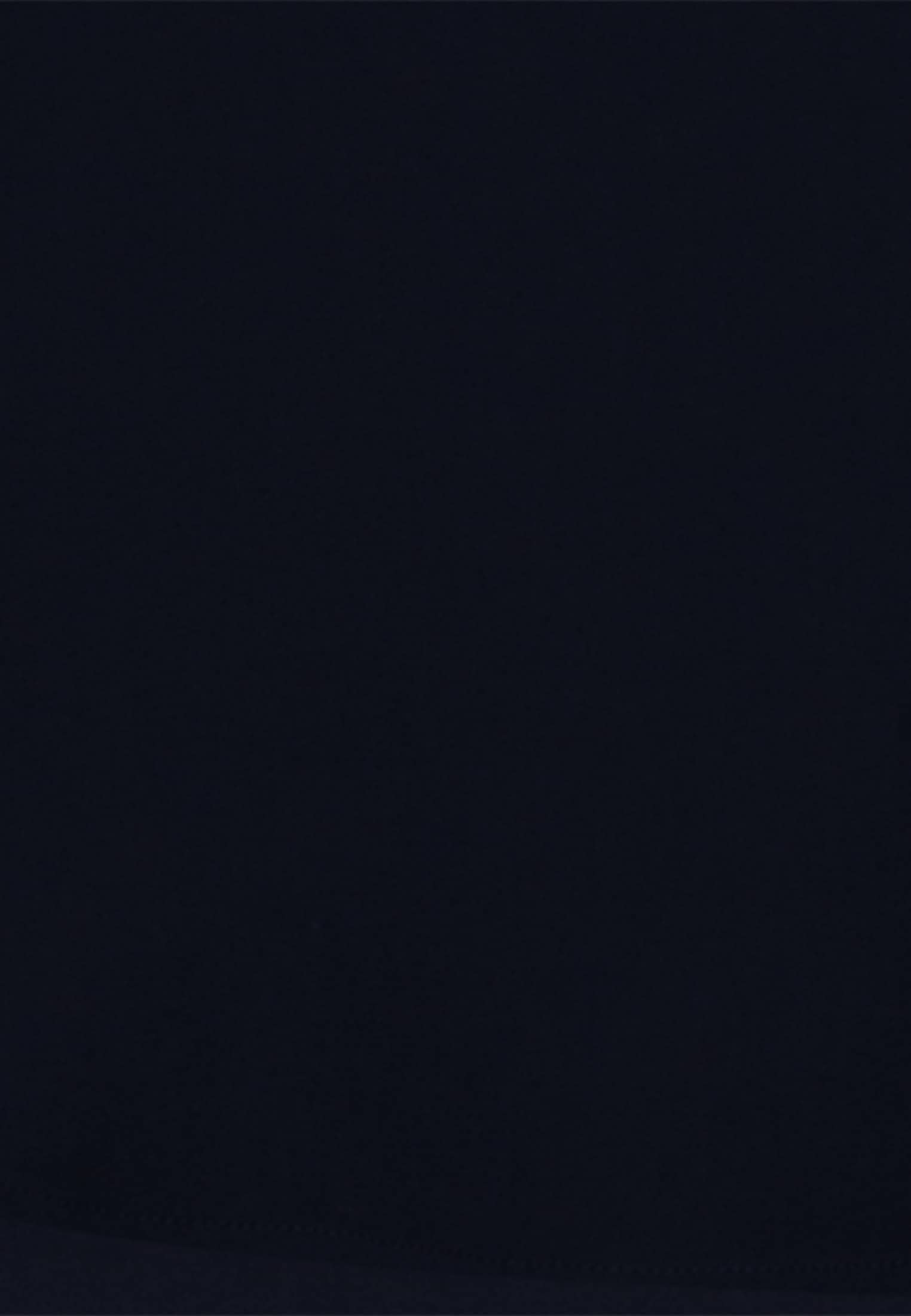 seidensticker Longbluse »Schwarze Rose« Langarm Kragen Uni