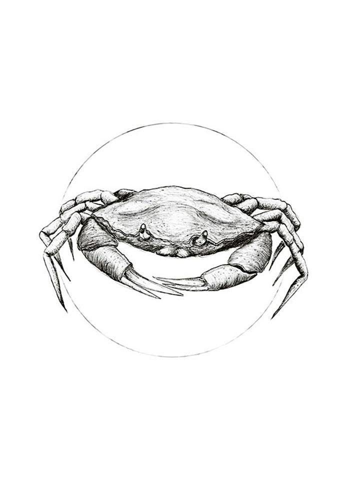 Komar Bild »Crab White« Tiere 1 Stk. tlg. Wandbild zur Dekoration - ohne Rahmen