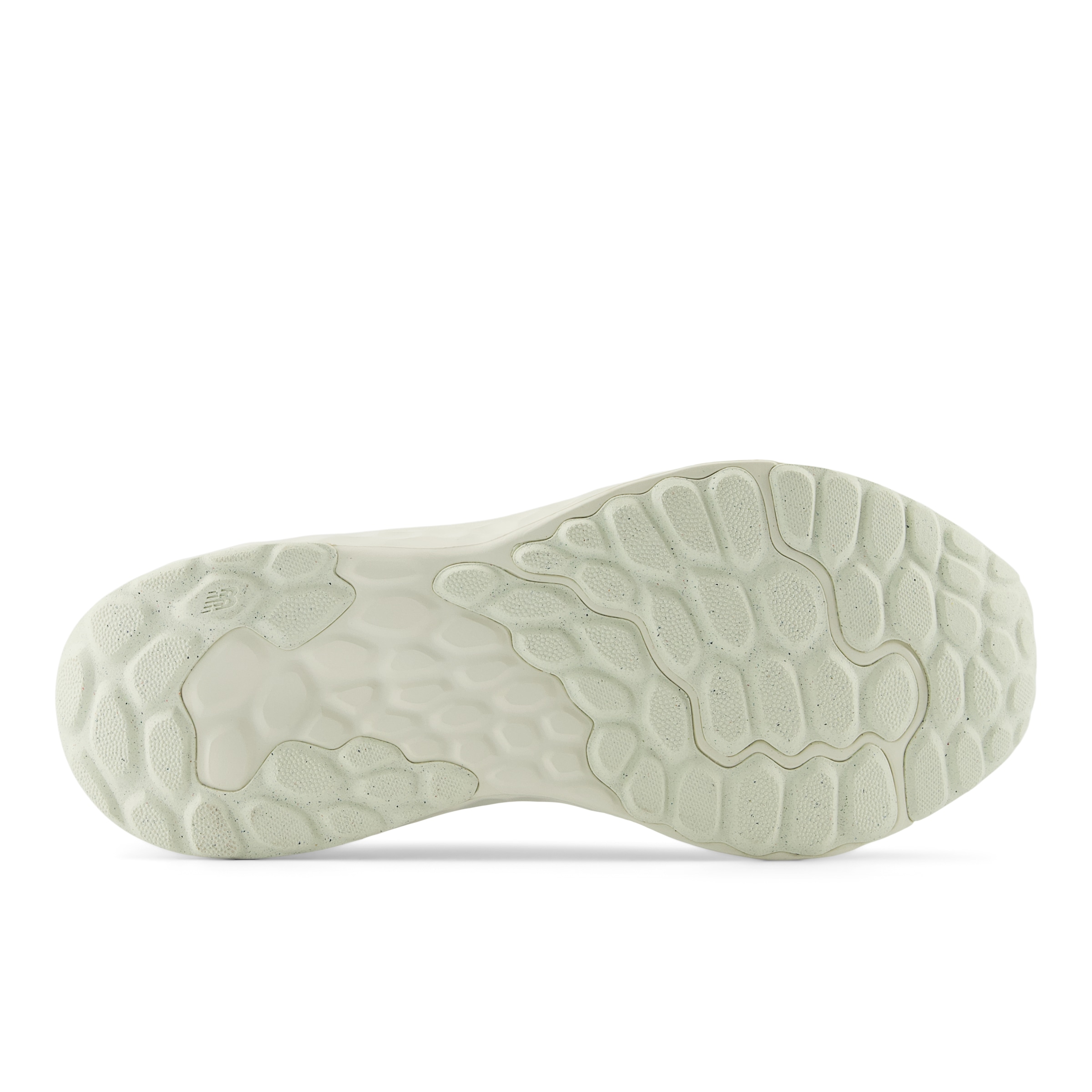 New Balance Laufschuh »FRESH FOAM ARISHI V4«
