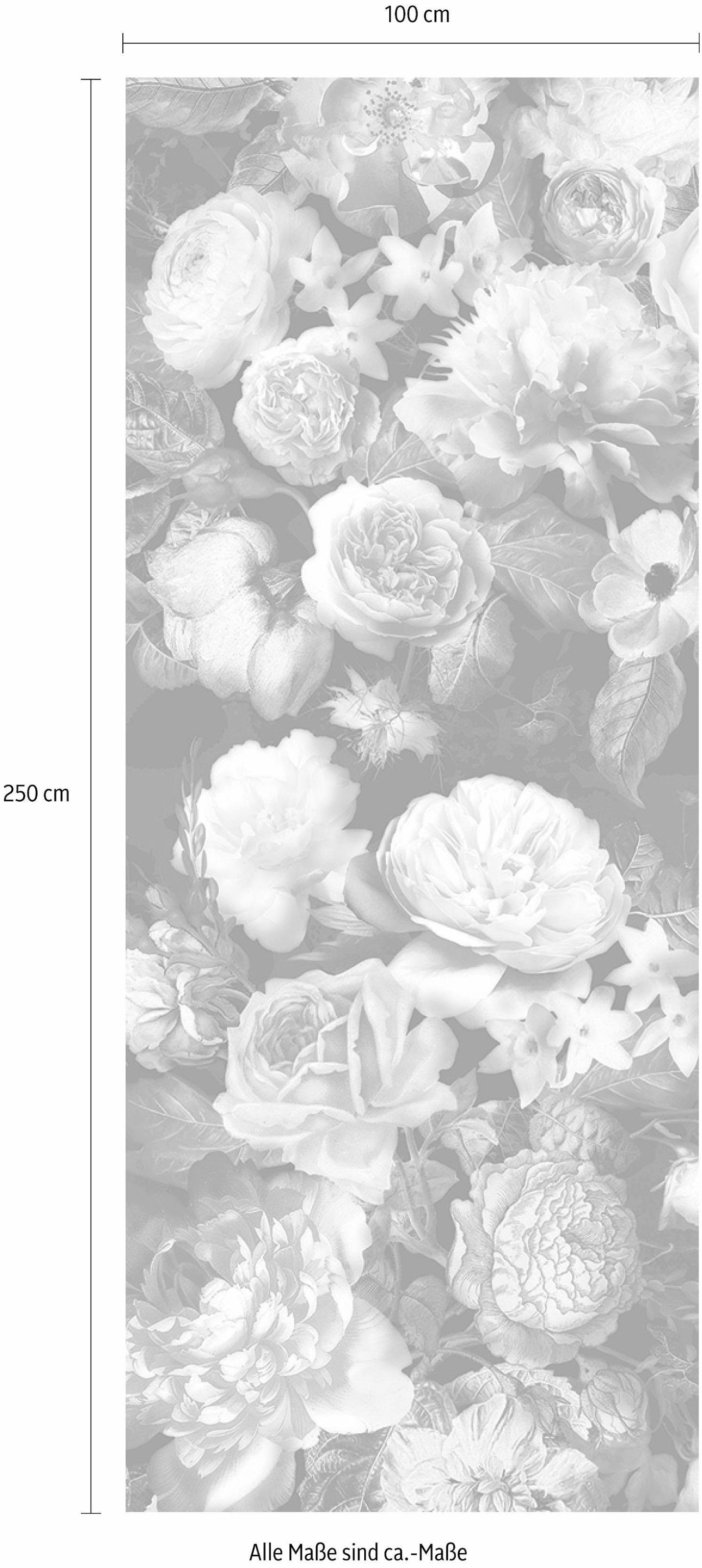 Komar Vliestapete »Victoria Black Panel« (Breite x Höhe), Vliestapete, 100 cm Bahnbreite