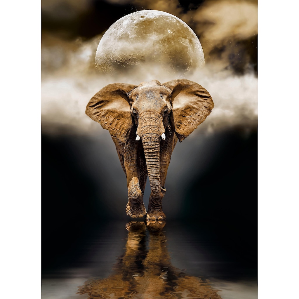 Clementoni® Puzzle »High Quality Collection, Der Elefant«, Made in Europe, FSC® - schützt Wald - weltweit