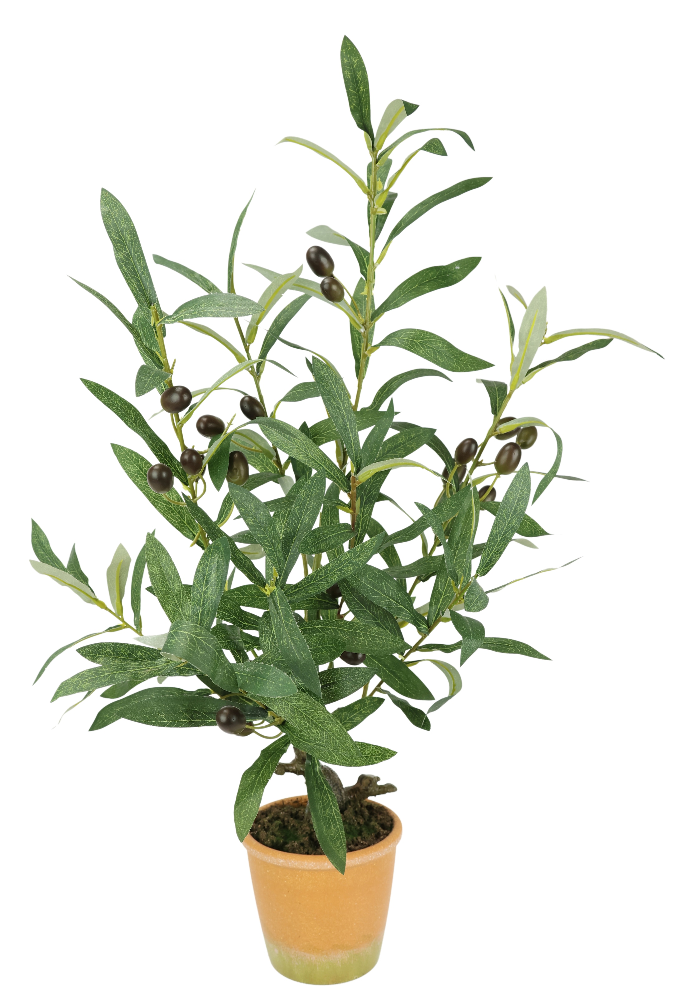 I.GE.A. Kunstpflanze »Künstlicher Olivenbaum mit schwarzen Früchten«, Olive Mediterran Ölbaum Grünpflanze Kunstbaum Dekobaum Baum