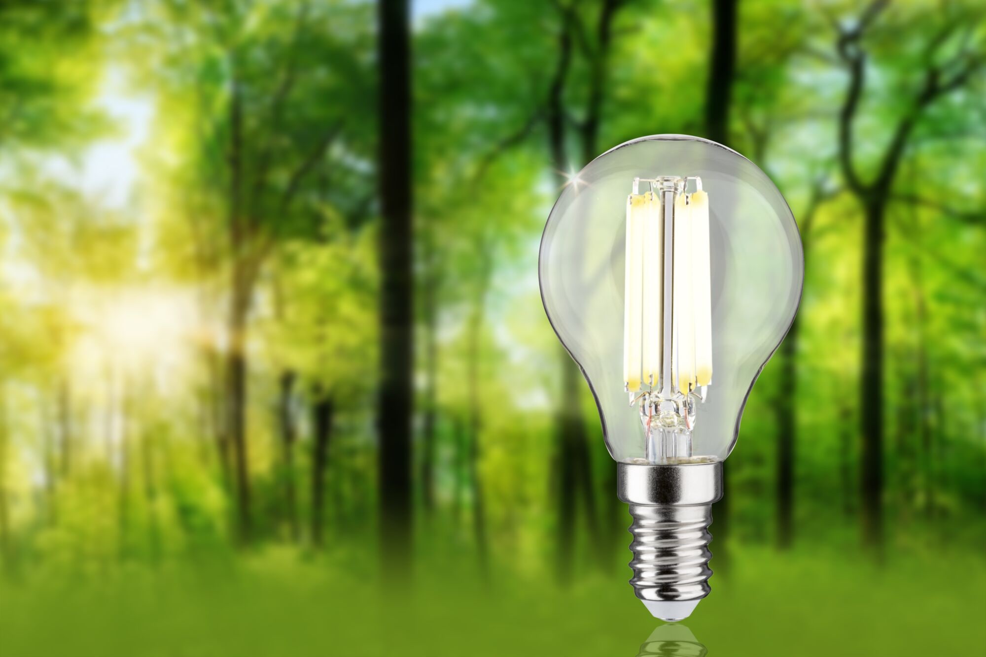 Paulmann LED-Leuchtmittel »Eco-Line Filament 230V LED Tropfen E14 1er-Set 525lm 2,5W 4000K Klar« E14 1 Stk. Neutralweiß