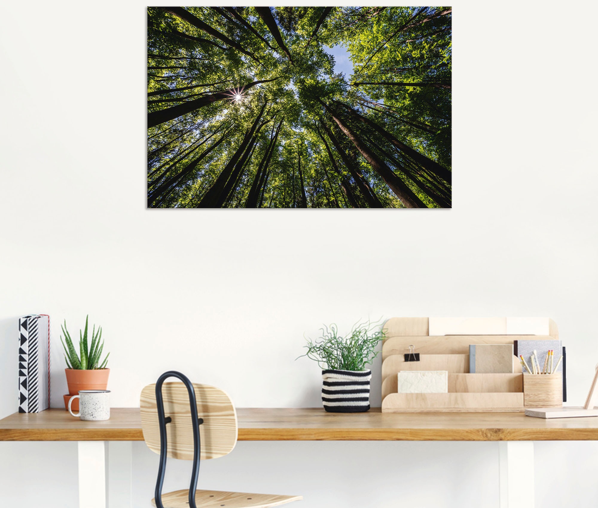 Artland Wandbild »Bäume von Baumbilder, als Raten (1 St.), bestellen unten Alubild, Größen Sommer«, Leinwandbild, oder in Poster auf im Wandaufkleber versch