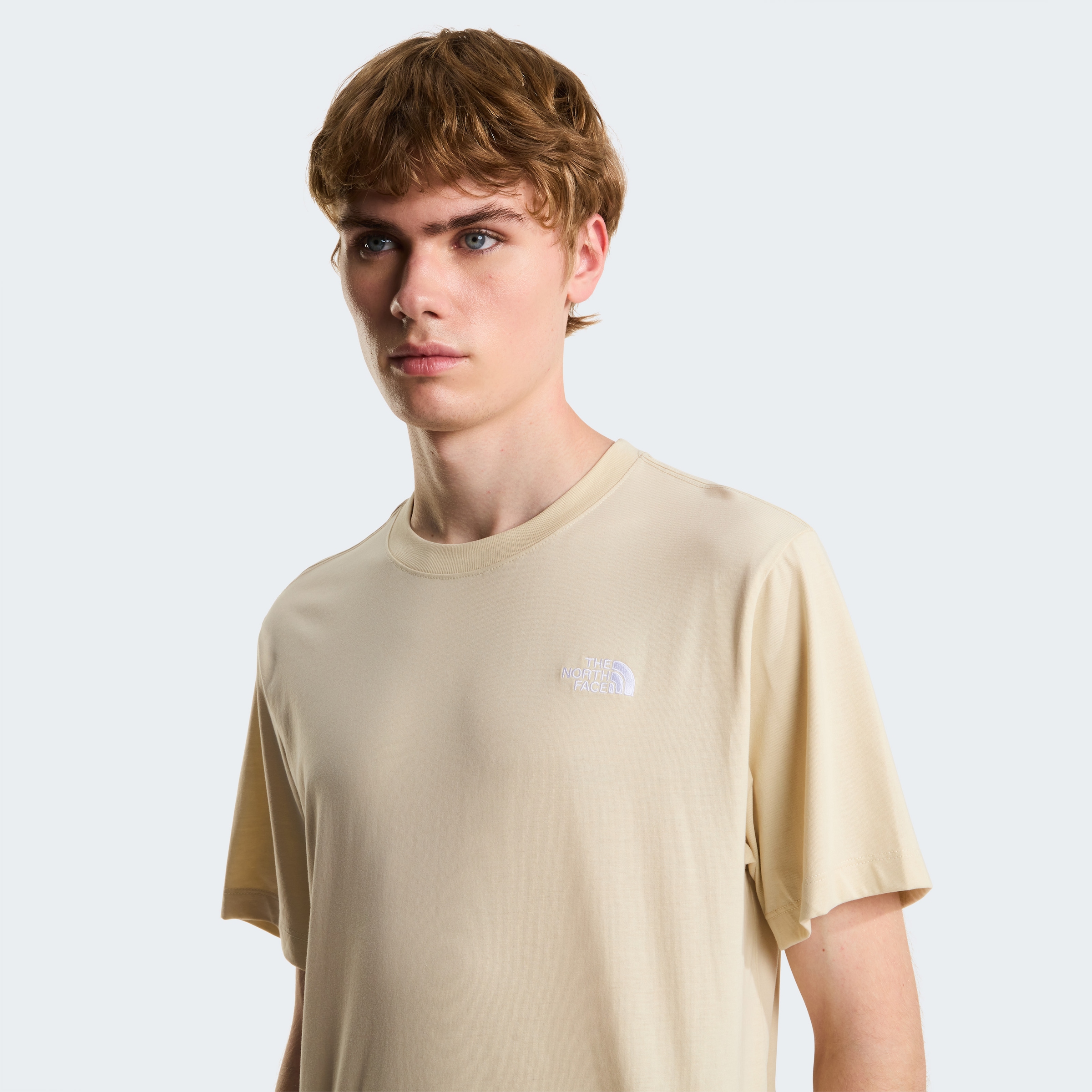 The North Face T-Shirt »M EVOLUTION SIMPLE DOME REGULAR SHORT SL« normale Passform, Kurzarm, für den Alltag, aus Poly-Baumwolle
