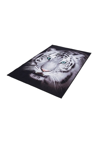 Andiamo Teppich »Weißer Tiger«, rechteckig, 4 mm Höhe, Wohnzimmer kaufen