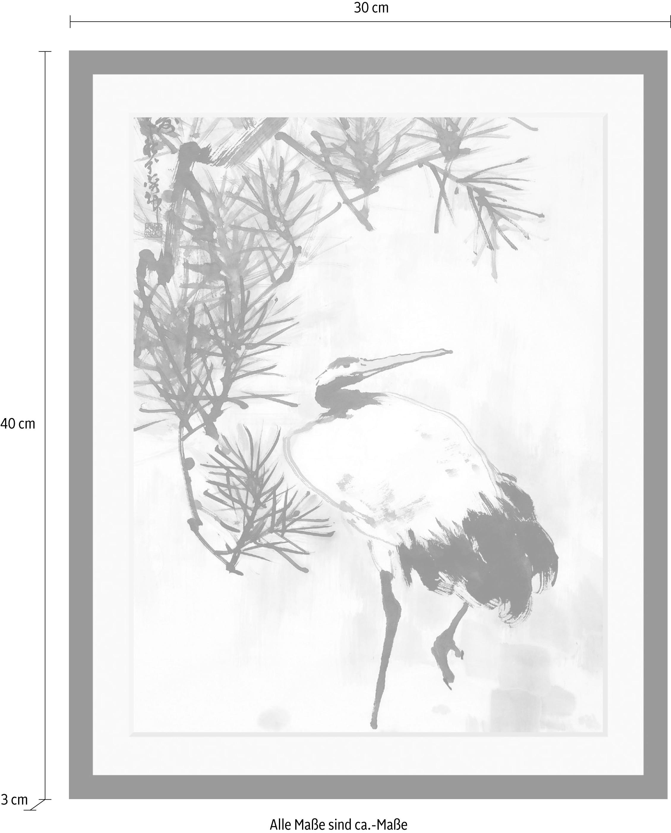 queence Bild »Kranich« Blumen | Blumenbilder | Pflanzen | Pflanzenbilder | Tiere | Vogelbilder | Vögel HD Premium Poster-Druck inkl. Holzrahmen