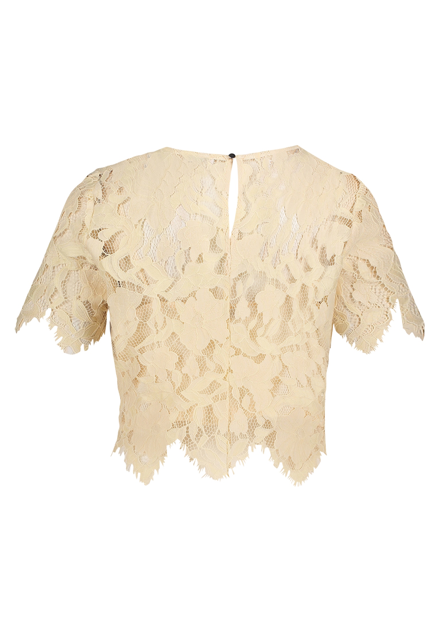 Vera Mont Blusentop »Spitzentop kurzarm«