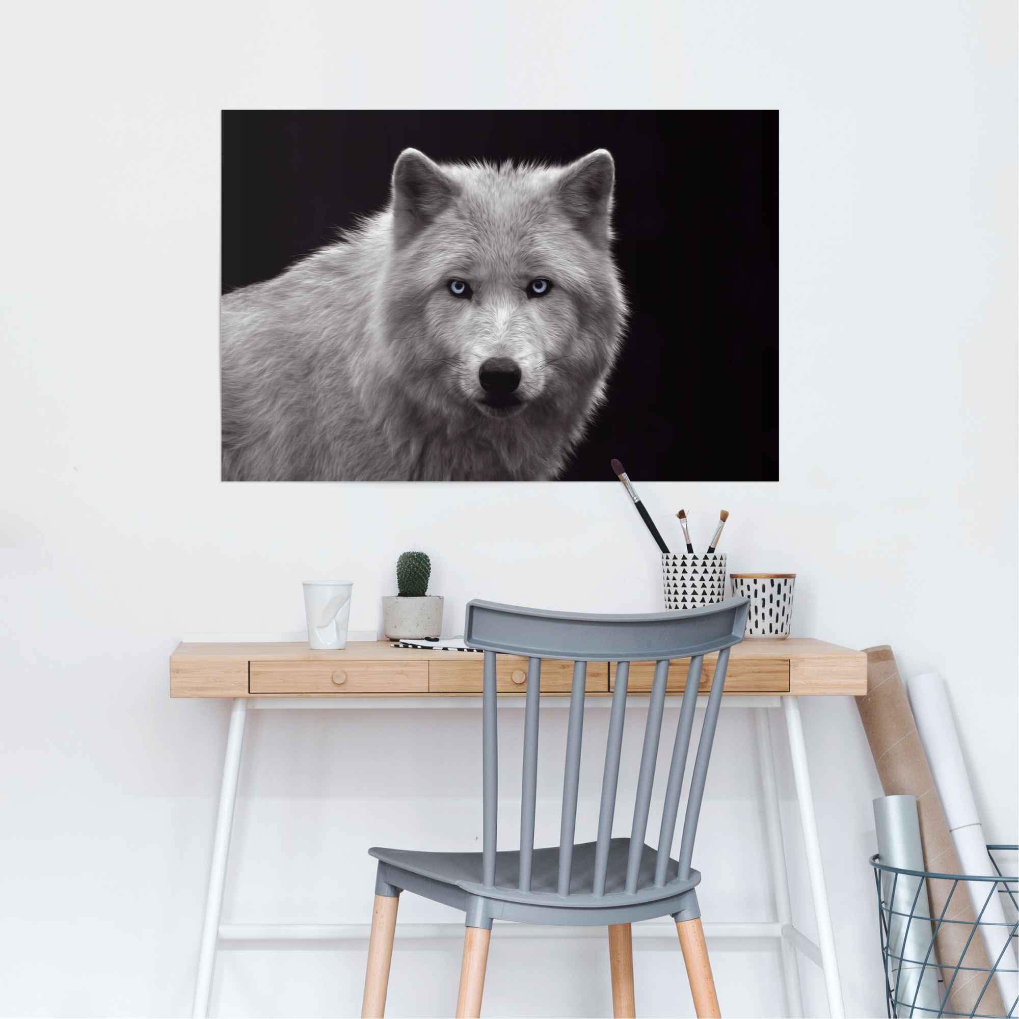 »Weißer kaufen St.) auf Wolf«, Poster Reinders! Raten (1