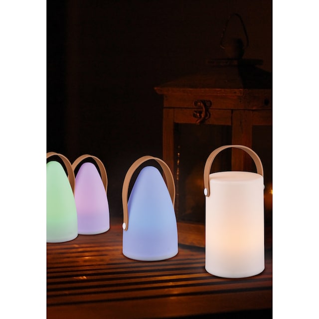 TRIO Leuchten LED Außen-Tischleuchte »Aruba«, 1 flammig-flammig, für Innen-  und Aussenbereich, RGB-Farbwechsel, IP44, Gartenleuchte online kaufen | mit  3 Jahren XXL Garantie