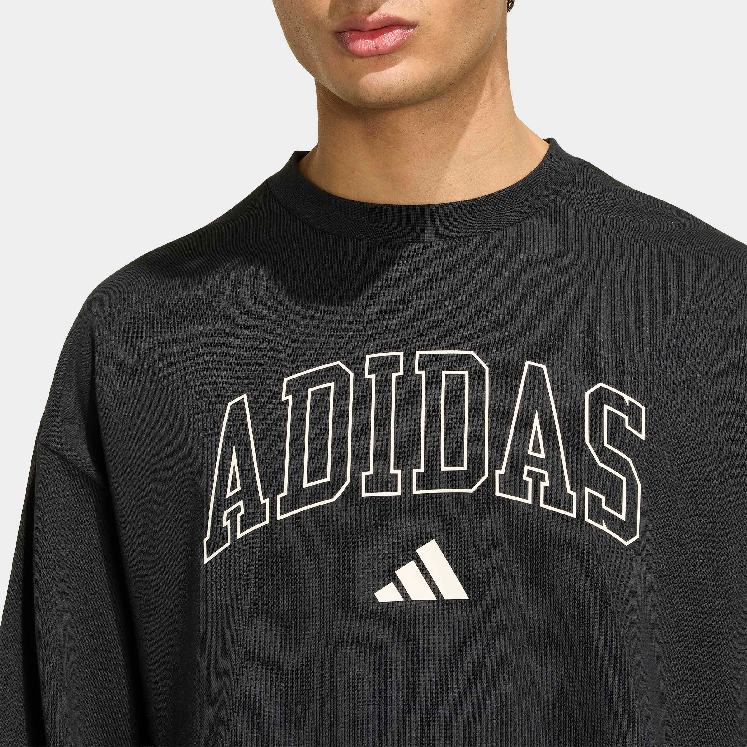 adidas Sportswear Sweatshirt »M COLL FT CRW«
