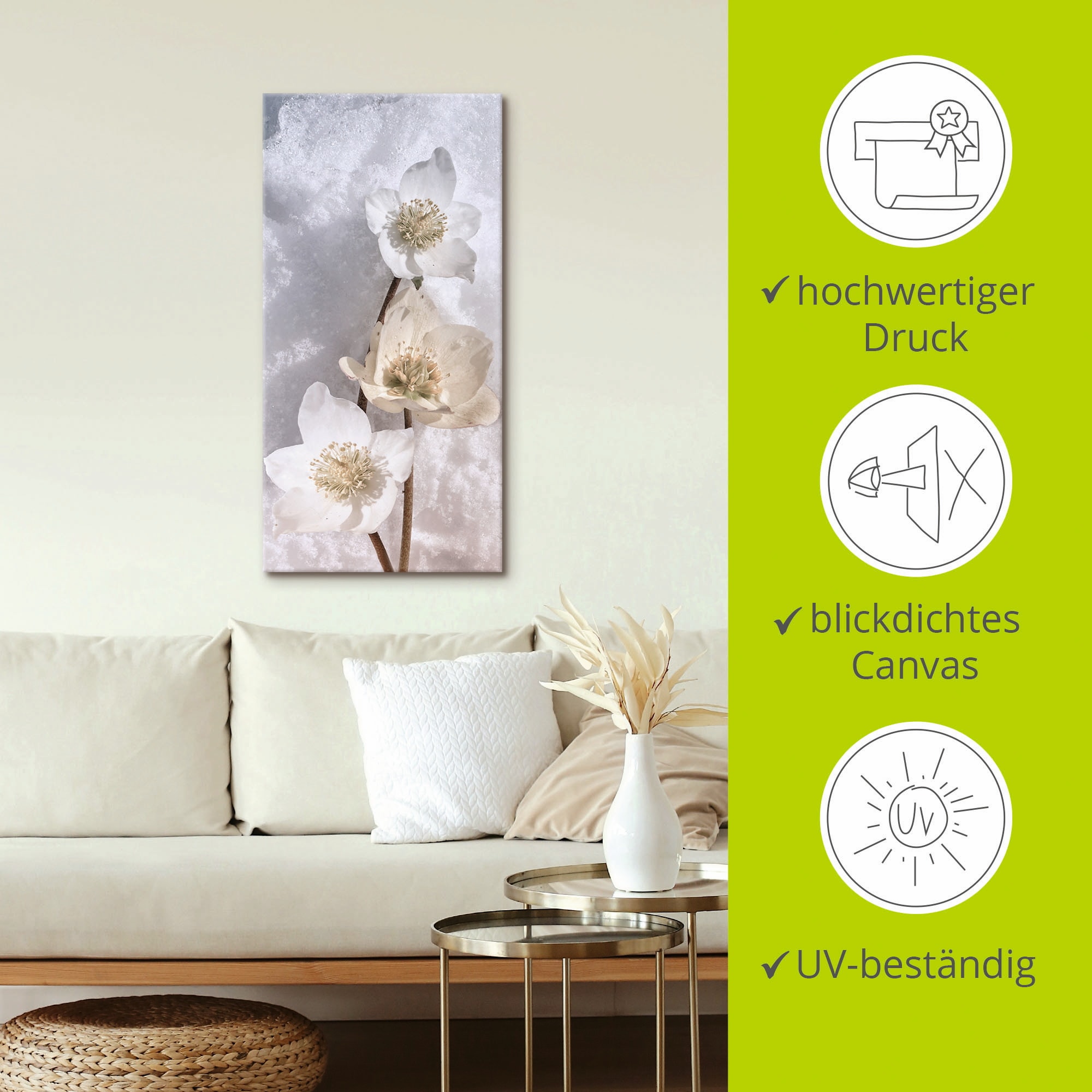 Artland Wandbild »Christrose im Schnee«, Blumen, (1 St.), als Leinwandbild, Poster in verschied. Größen