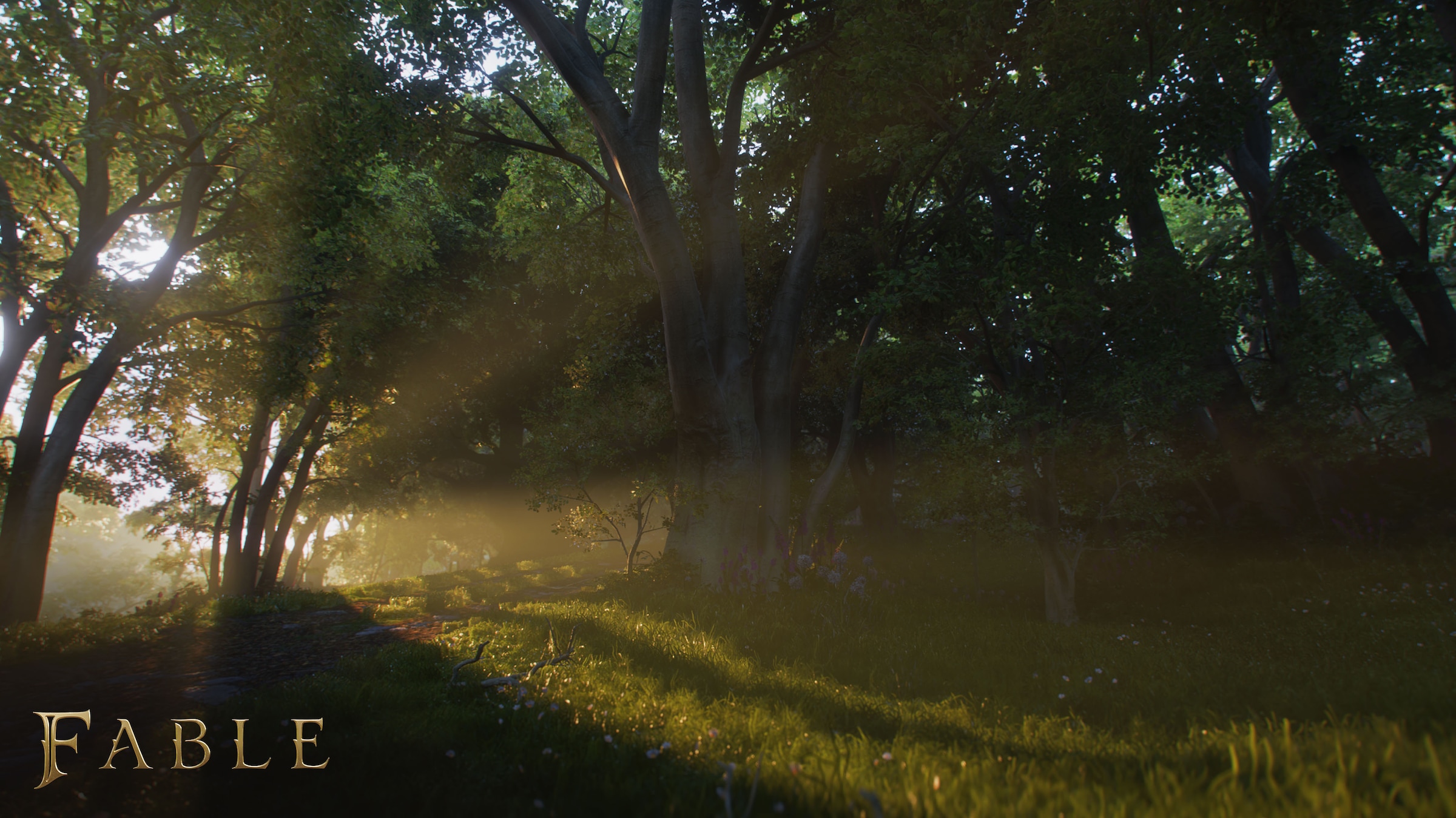 Xbox Spielesoftware »Fable« PlayStation 5