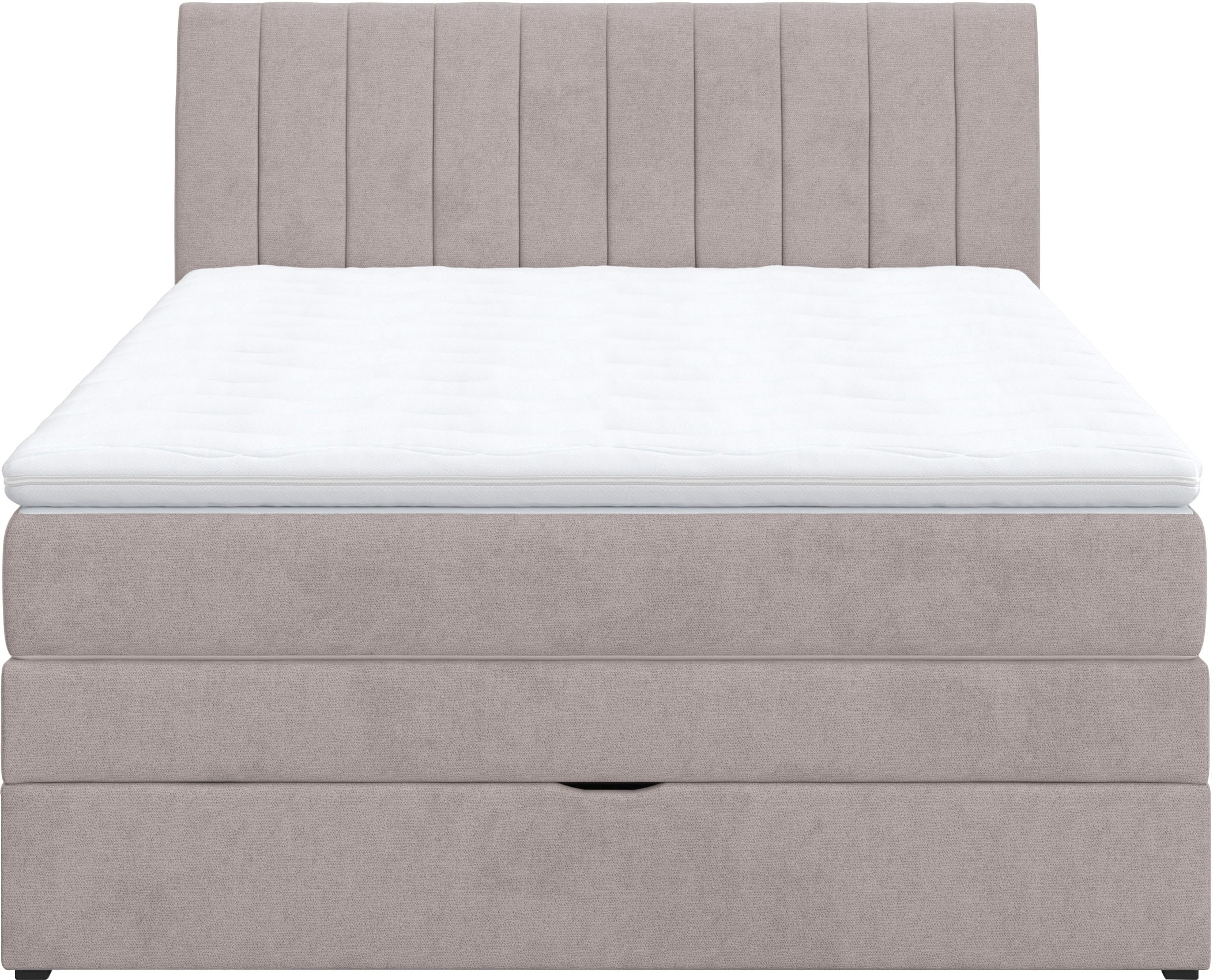 COTTA Boxspringbett »Shark inkl. Bettkasten und Topper« erhältlich in den Breiten 140x200cm, 160x200cm und 180x200cm