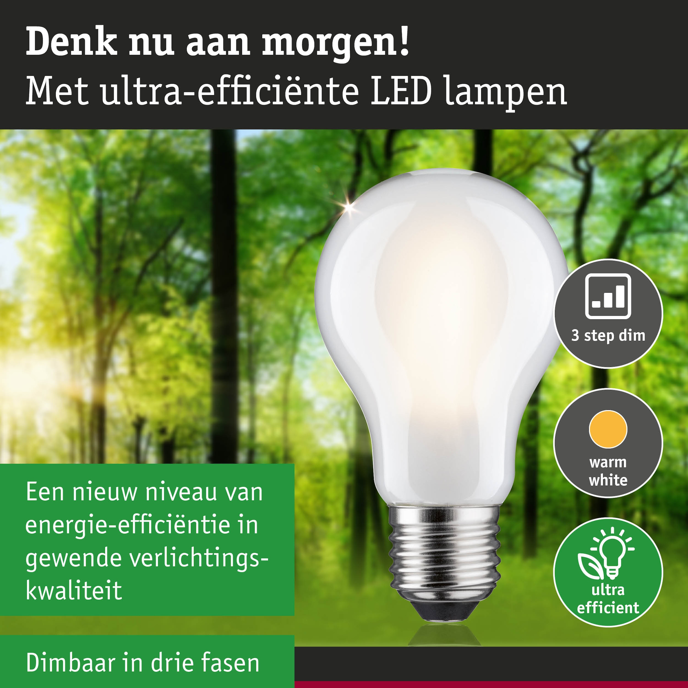 Paulmann LED-Leuchtmittel »Eco-Line Filament 230V LED Birne E27 470lm 2,5W 3000K dimmbar Matt« E27 1 Stk. Warmweiß