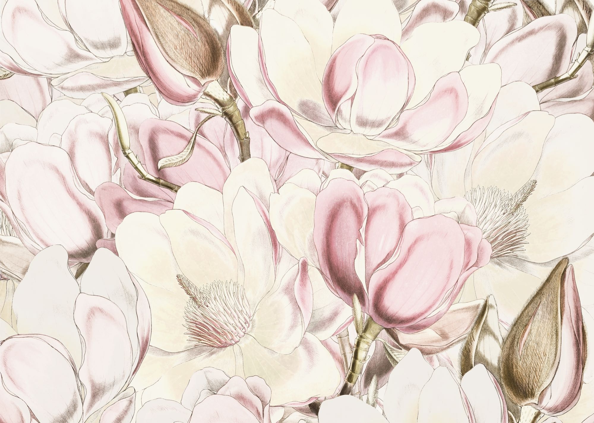 Komar Fototapete »Vlies Fototapete - Petals - Größe 350 x 250 cm« Motiv | bedruckt glatt