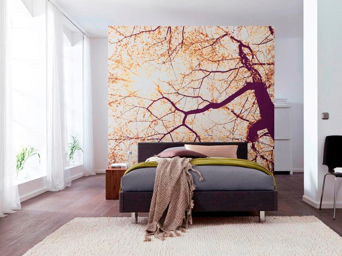 Komar Vliestapete »Digitaldruck Vlies - Sunshine - Größe 250 x 250 cm«, bedruckt, Wohnzimmer, Schlafzimmer