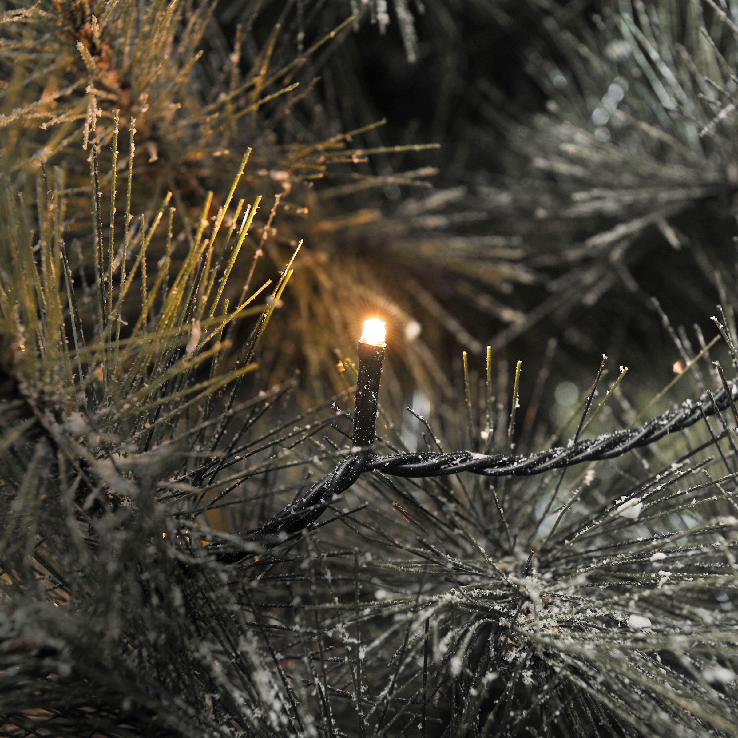 KONSTSMIDE LED-Lichterkette »LED Solar Lichterkette, 200 bernsteinfarbene Dioden, 8 Lichtfunktionen«, 200 St.-flammig, Fernbedienbar Dimmbar, Timer, Solarbox zusätzlich über USB aufladbar
