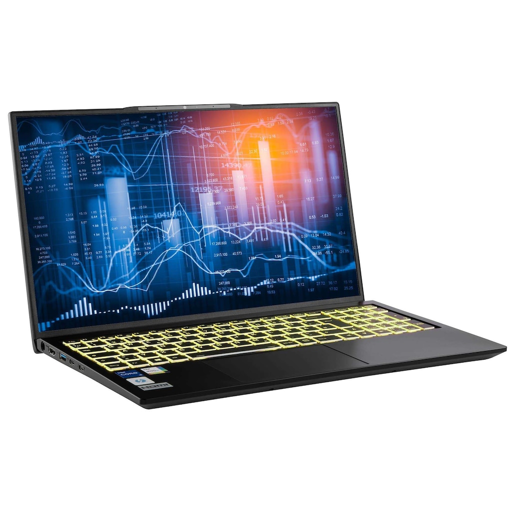 CAPTIVA Business-Notebook »Power Starter I76-114«, 43,94 cm, / 17,3 Zoll, Intel, Core i5, 1000 GB SSD