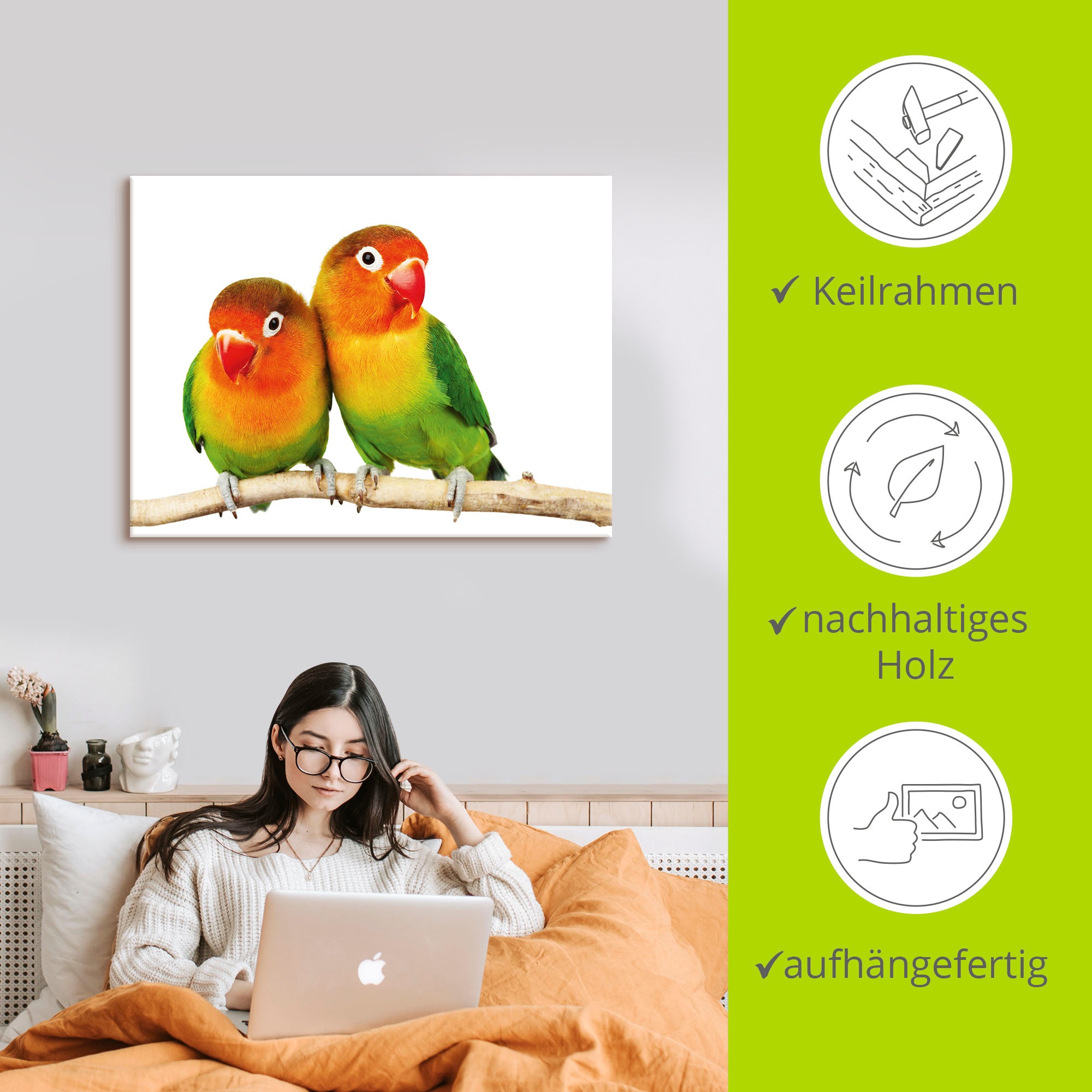 Artland Wandbild »Paar von Grauköpfchen - Papageien«, Vögel, (1 St.), als Leinwandbild, Poster, Wandaufkleber in verschied. Größen
