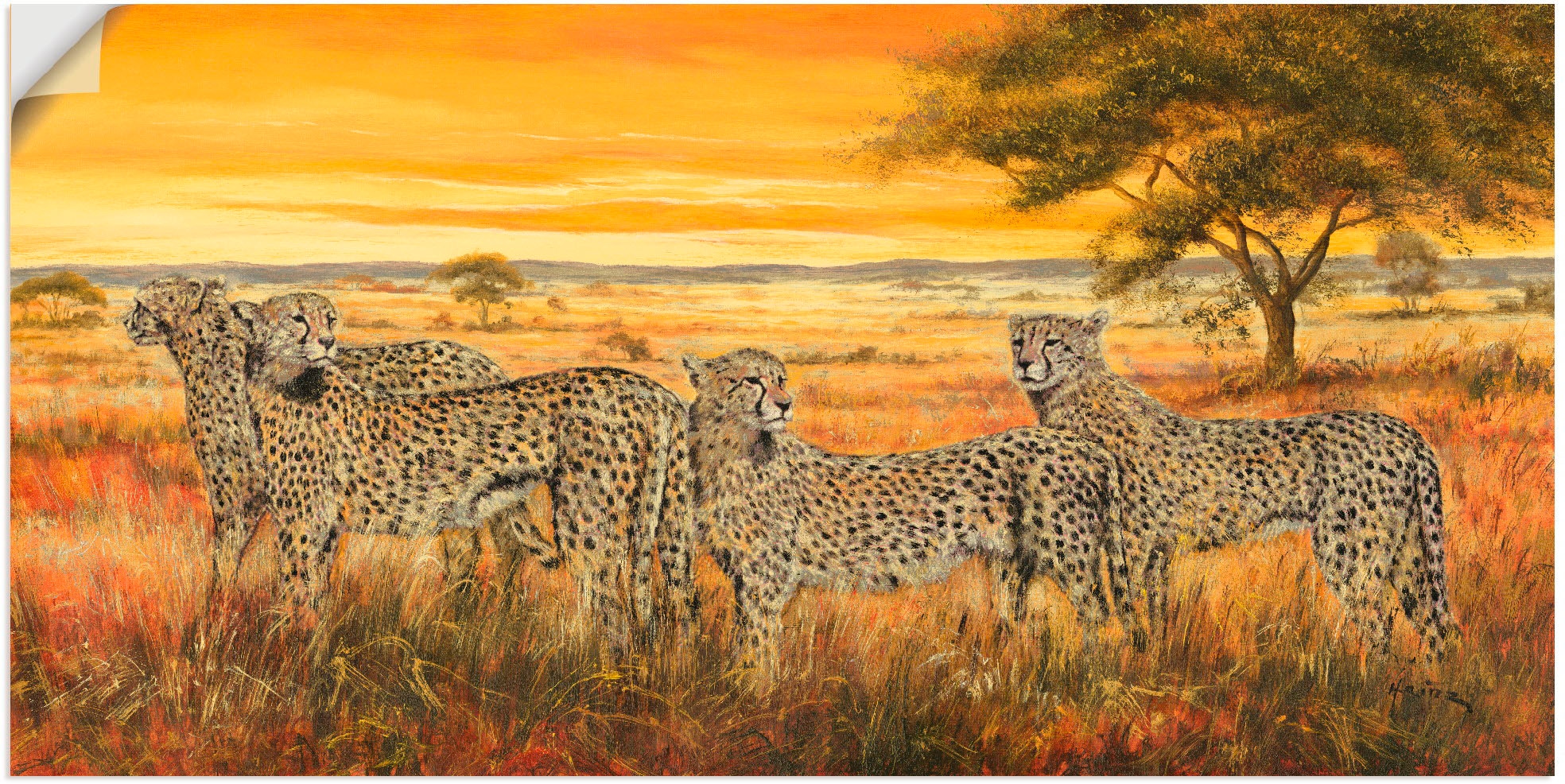 St.), Leinwandbild, in kaufen »4 Artland Poster Größen versch. (1 Wildtiere, Geparden«, Wandbild Wandaufkleber bequem als Alubild, oder