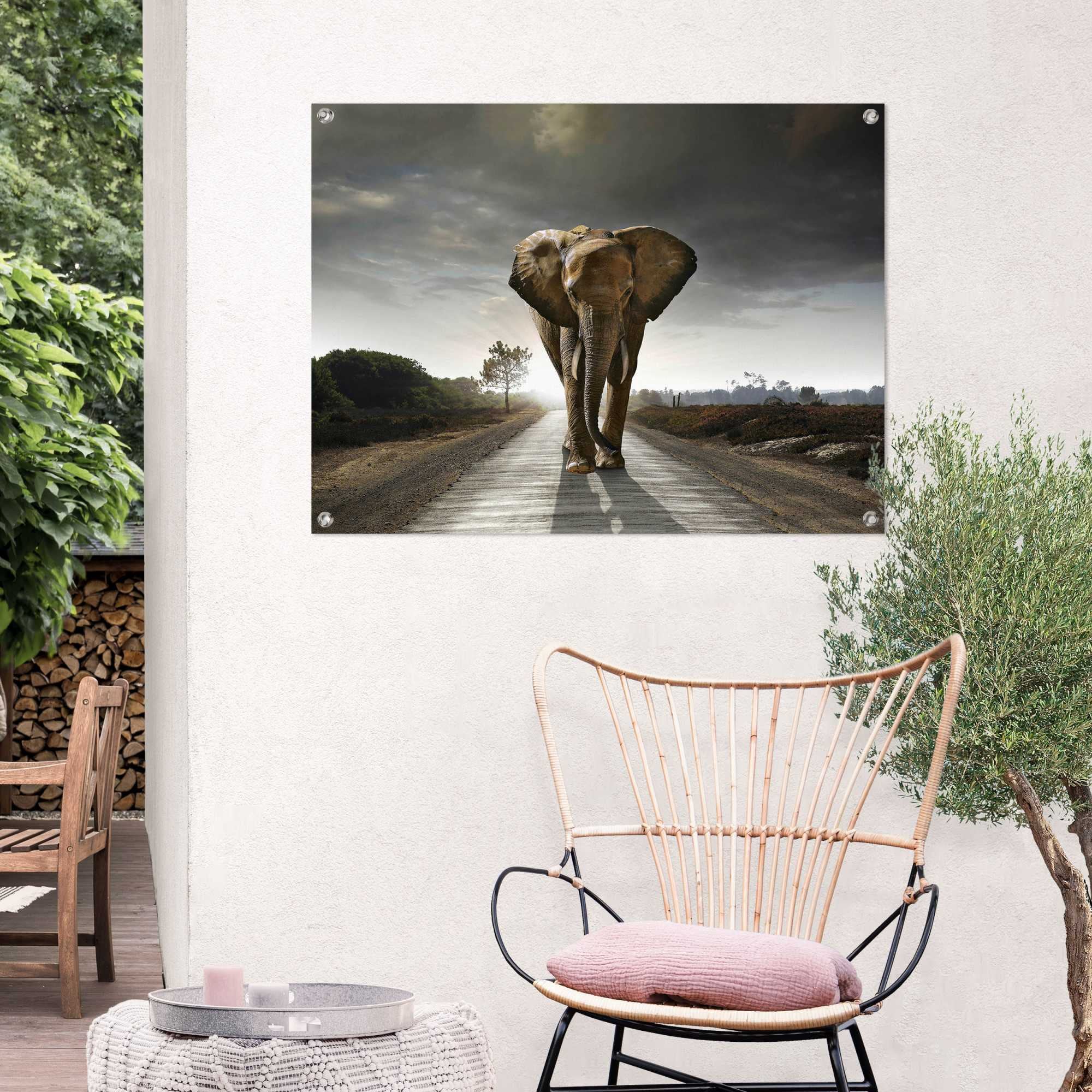 oder bequem Poster bestellen Balkon Garten für Outdoor »Elefantenkönig«, Reinders!