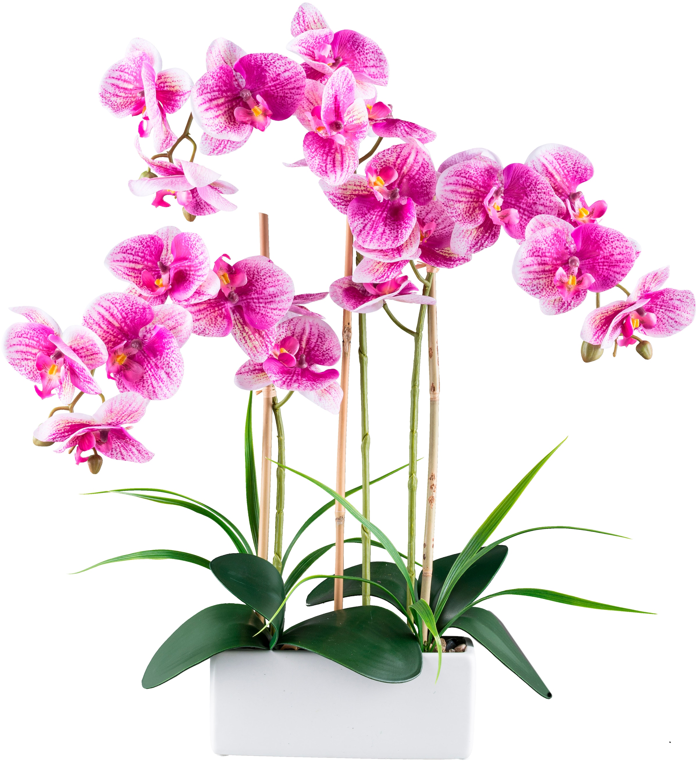 Creativ green Kunstorchidee »Orchidee Phalaenopsis«, mit Graszweigen arrangiert