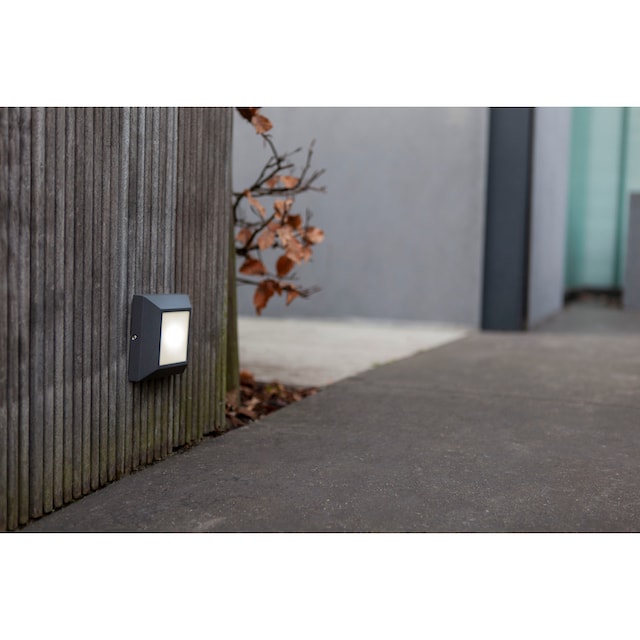 LUTEC LED Außen-Wandleuchte »HELENE« online kaufen | mit 3 Jahren XXL  Garantie