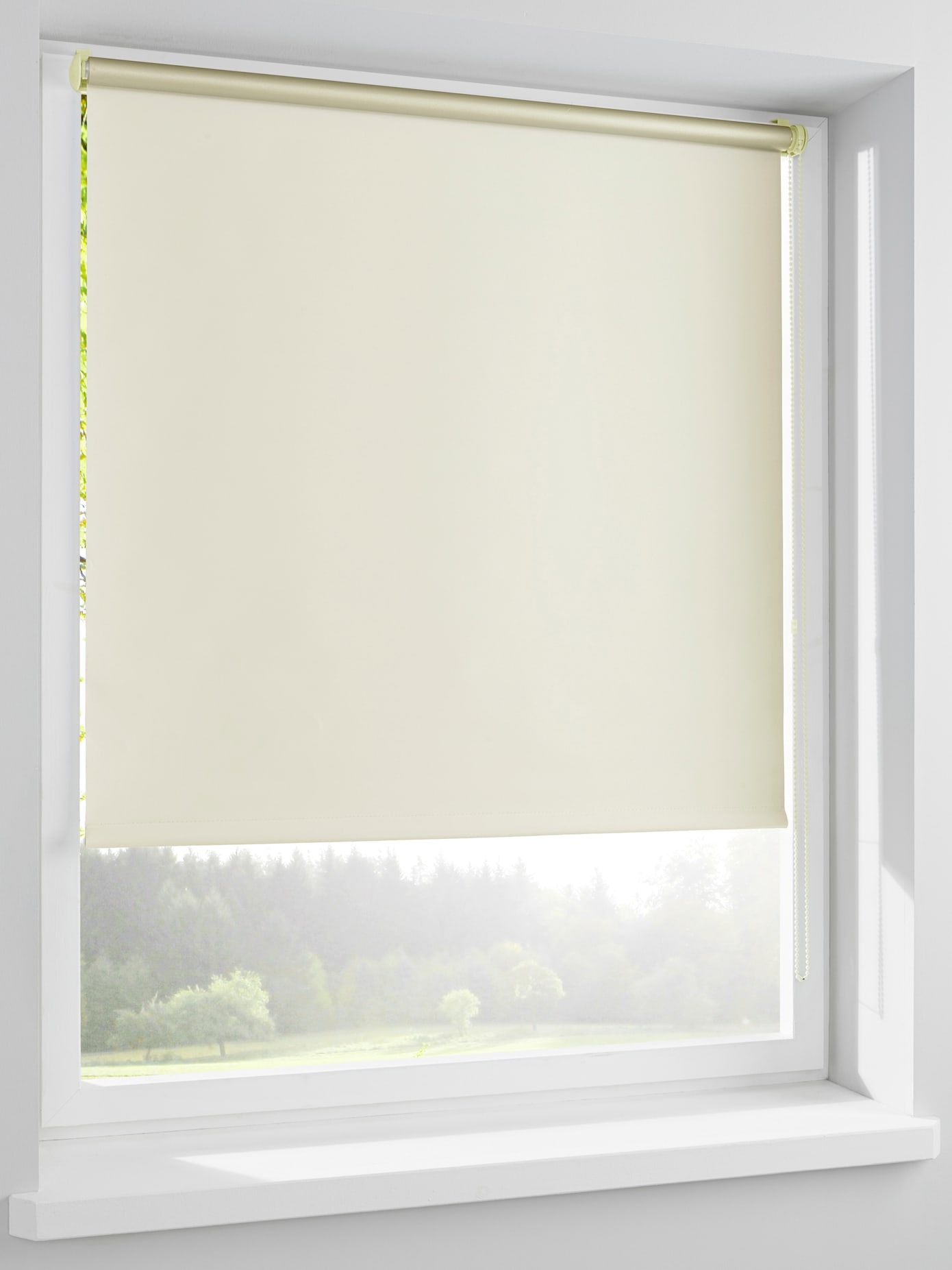 heine home Jalousie