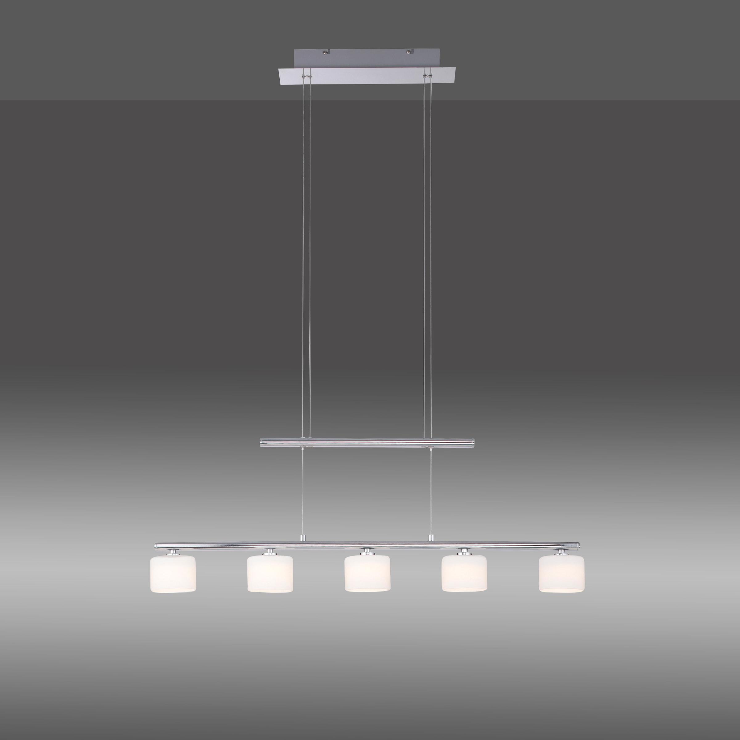 Neuhaus mit Paul 5 Pendelleuchte LED | flammig-flammig, »HYDRA«, kaufen online XXL 3 Jahren Garantie