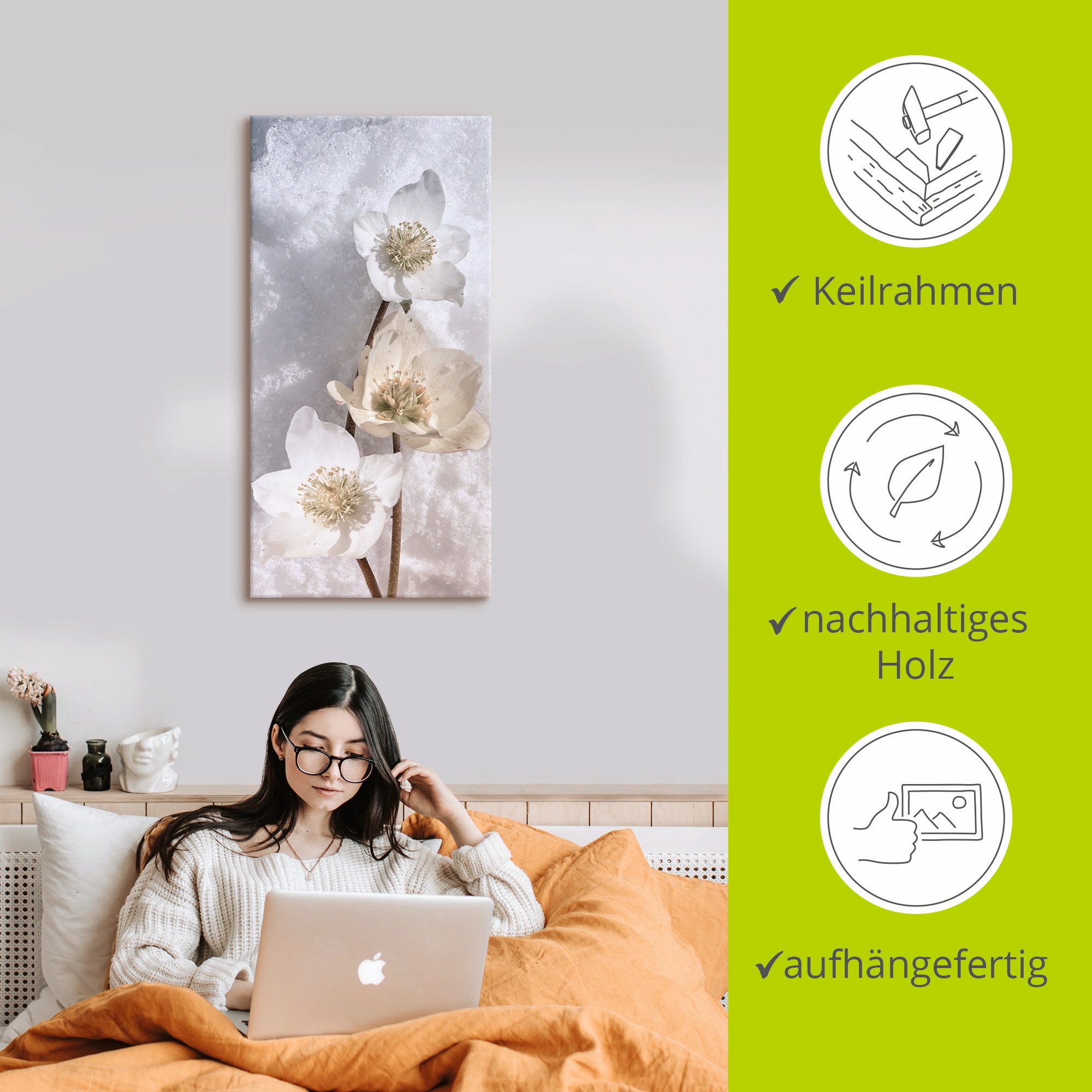 Artland Wandbild »Christrose im Schnee«, Blumen, (1 St.), als Leinwandbild, Poster in verschied. Größen